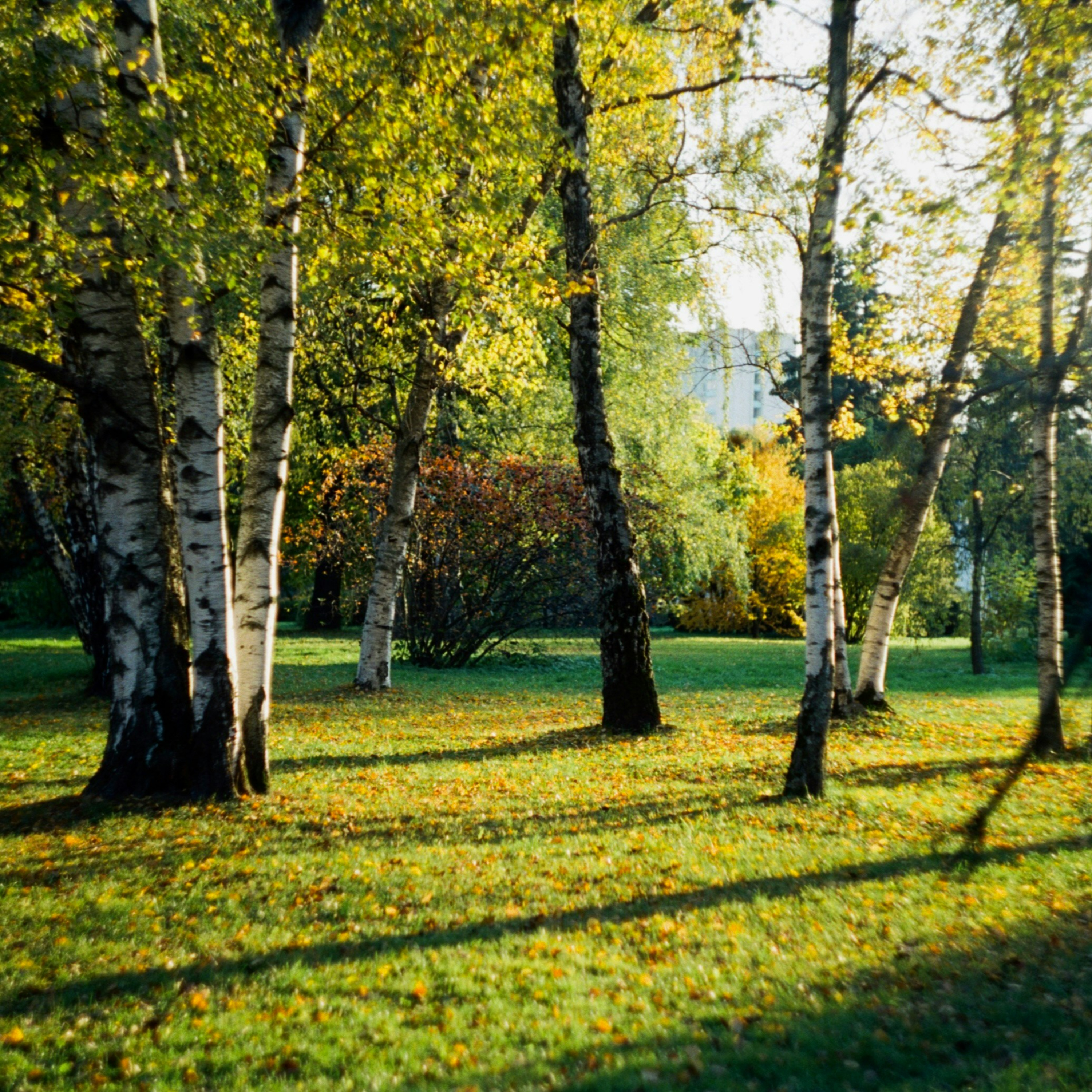 120. Куда поехать осенью в России? Where to travel in Russia during the fall time? episode artwork