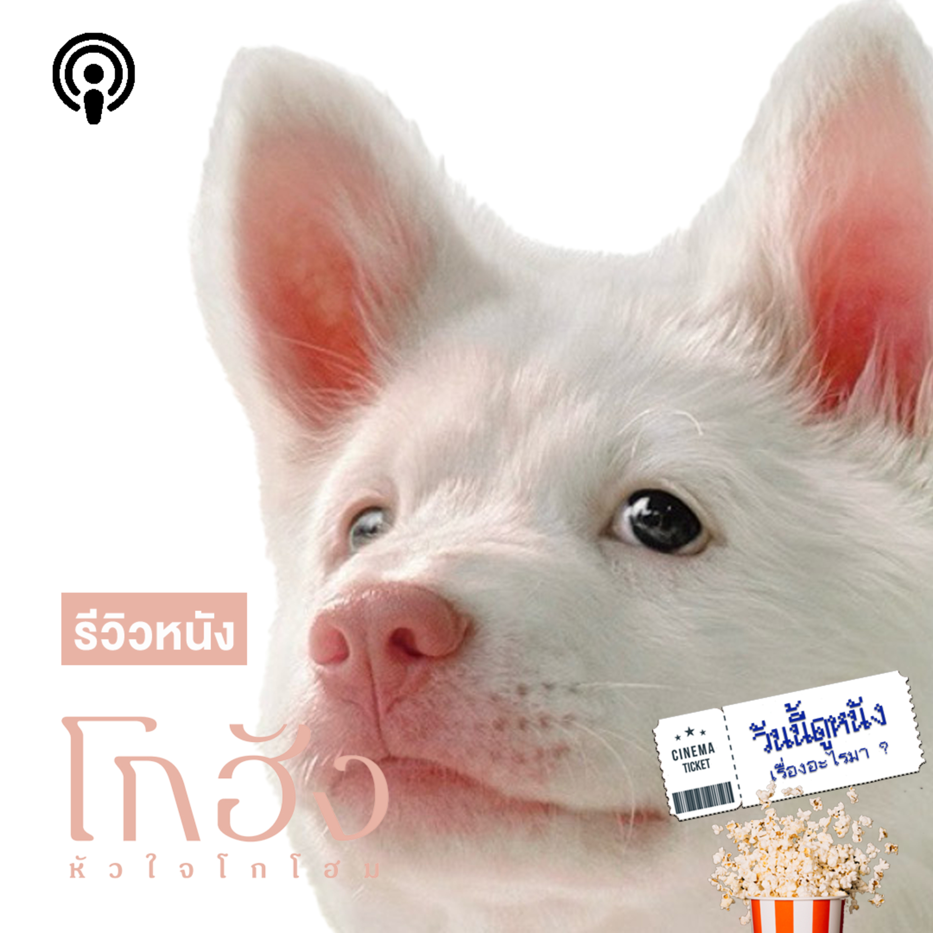 วันนี้ดูหนังเรื่องอะไรมา : โกฮัง..หัวใจโกโฮม ความรัก ความผูกพัน และการเติบโตของใจหมาจร 