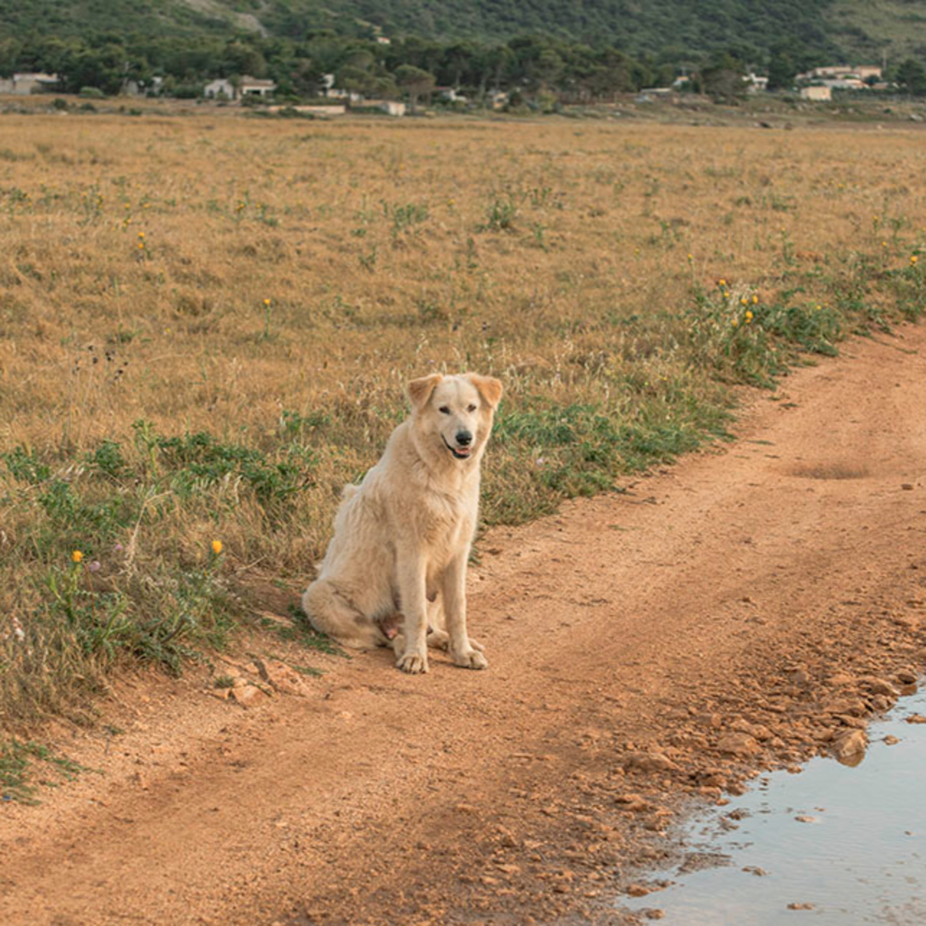 Ed Panar interview by Daniel Abbe