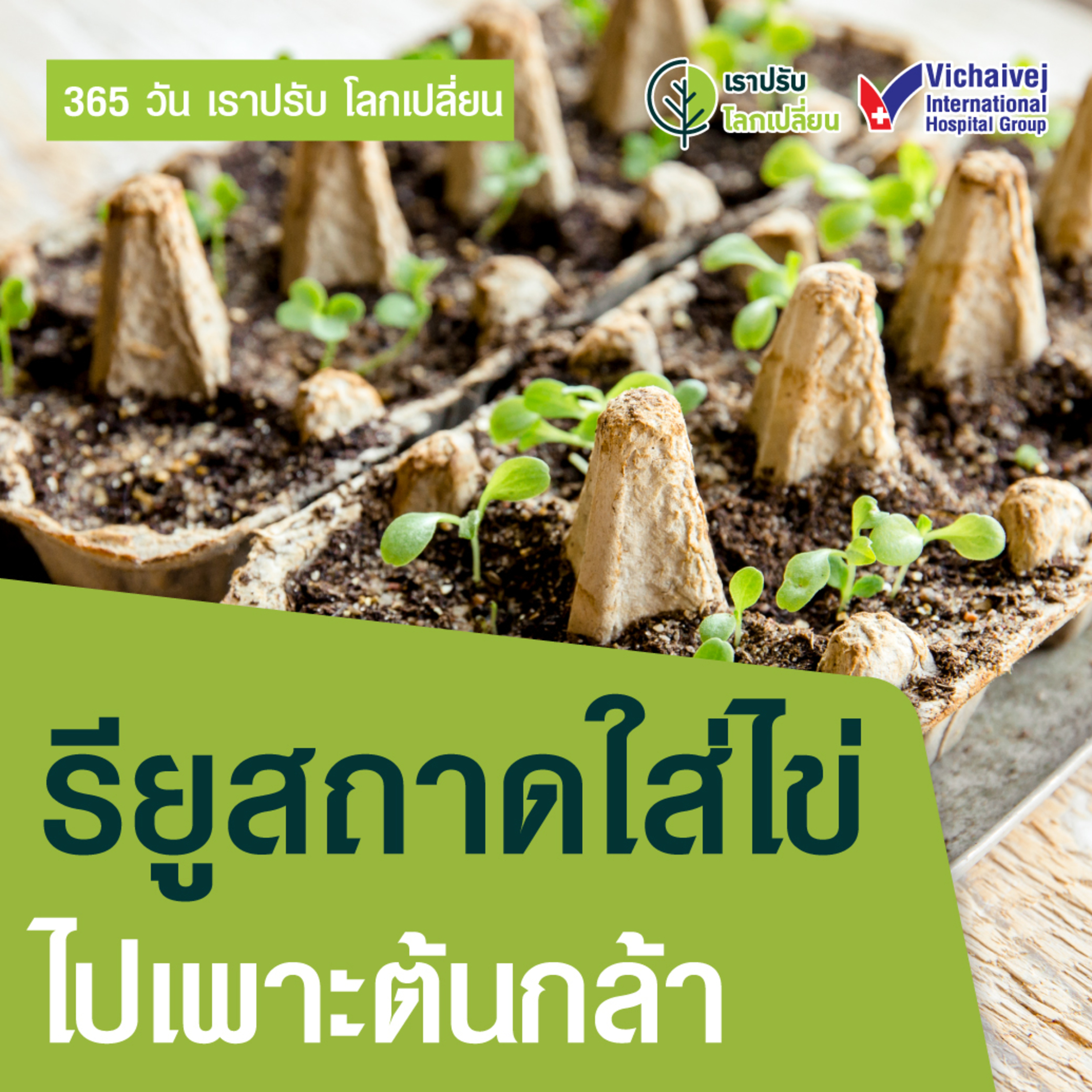 "รียูสถาดใส่ไข่ไปเพาะต้นกล้า" ในโครงการ 365 วันเราปรับ โลกเปลี่ยน โดยกลุ่มโรงพยาบาลวิชัยเวช episode artwork