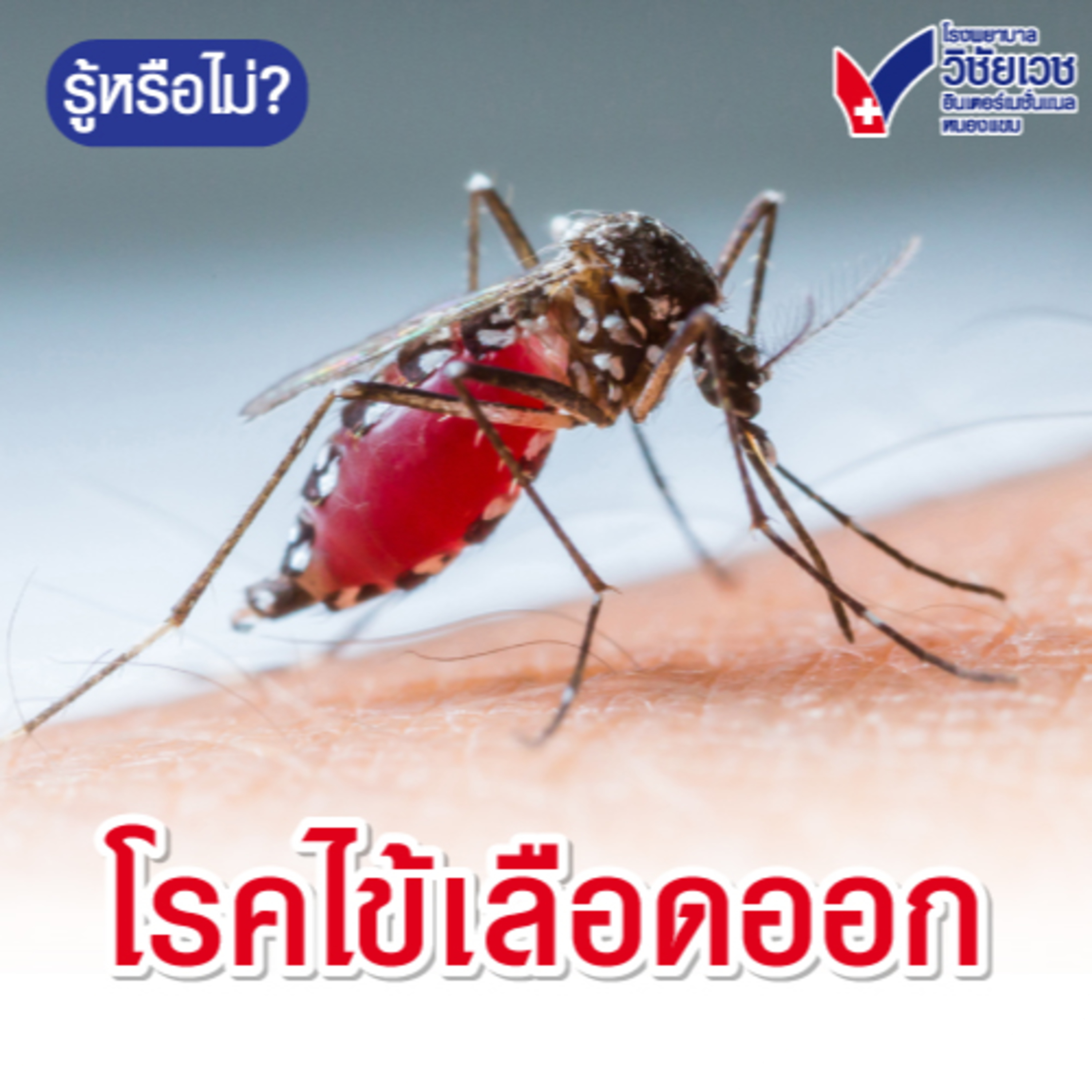 โรคไข้เลือดออก episode artwork