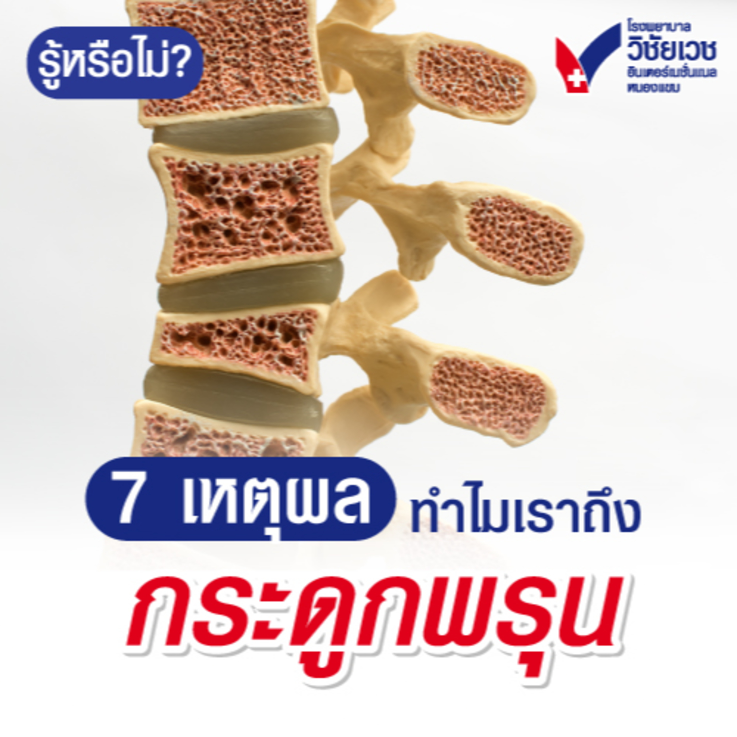 7เหตุผล-ทำไมถึงเป็นโรคกระดูกพรุน episode artwork