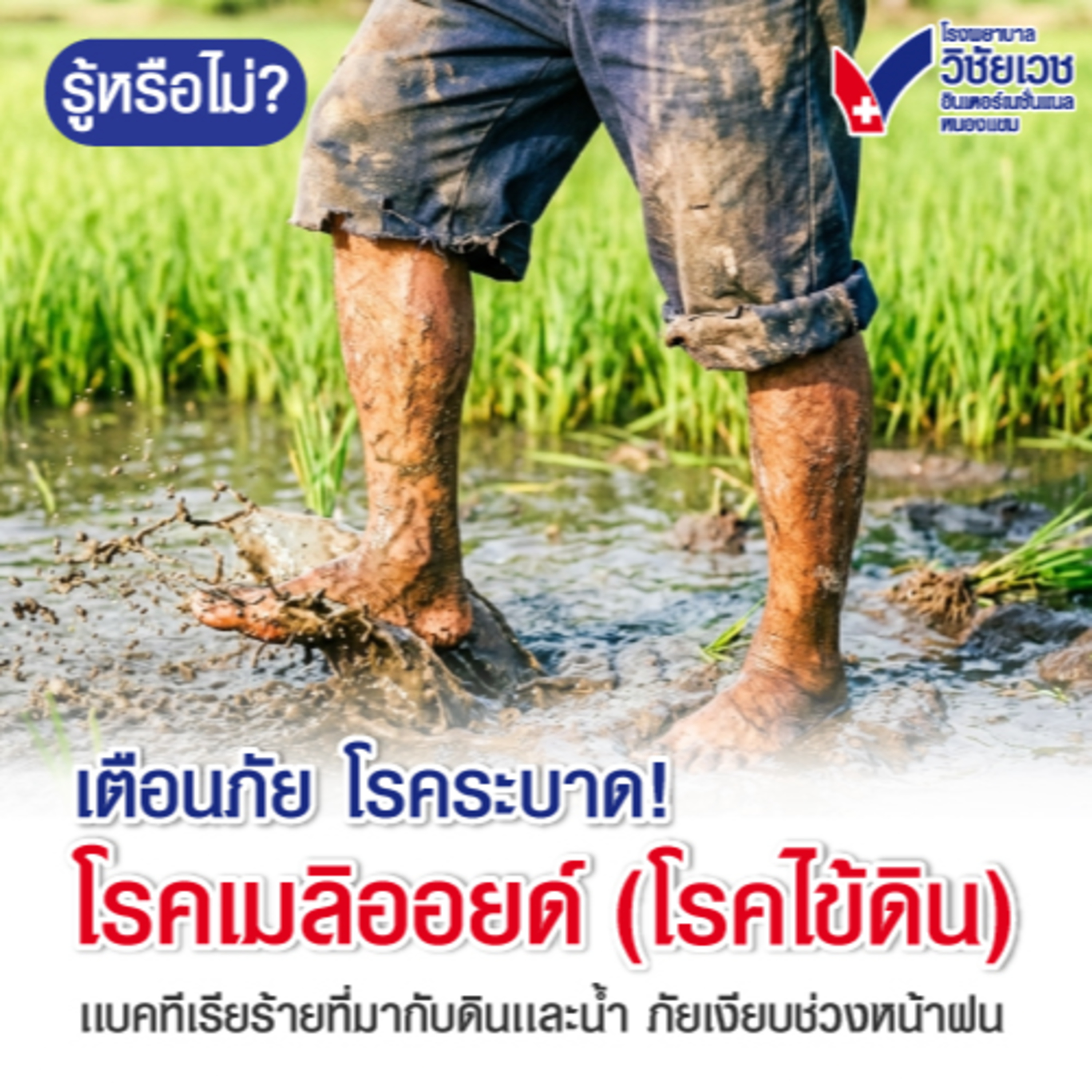 เตือนภัยโรคระบาด โรคเมลิออยด์(โรคไข้ดิน) เเบคทีเรียร้ายที่มากับดินเเละน้ำภัยเงียบชาวงหน้าฝน