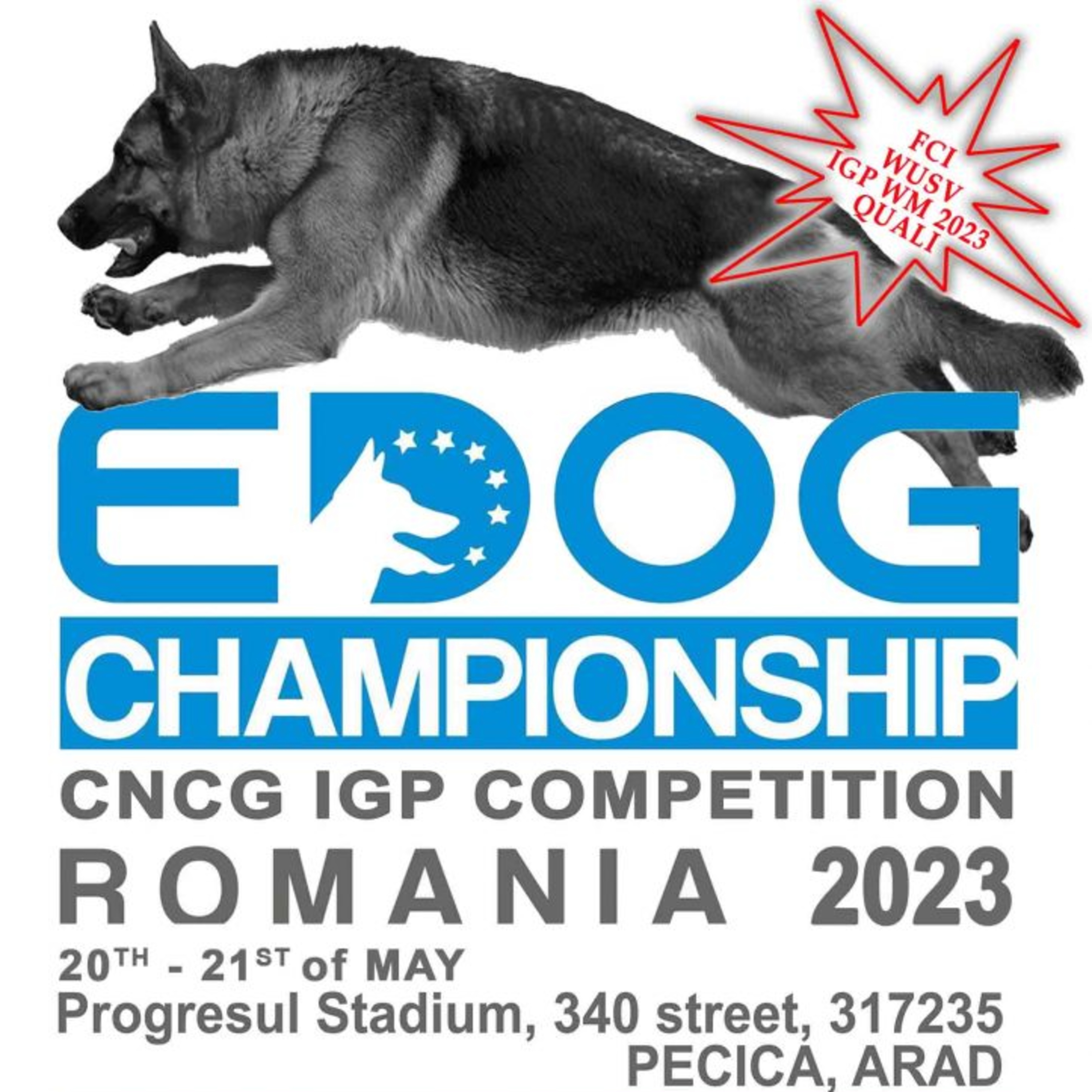 Despre oameni și câini! EDOG Chanpionship Pecica / S05E101 / 16 Mai 2023 episode artwork