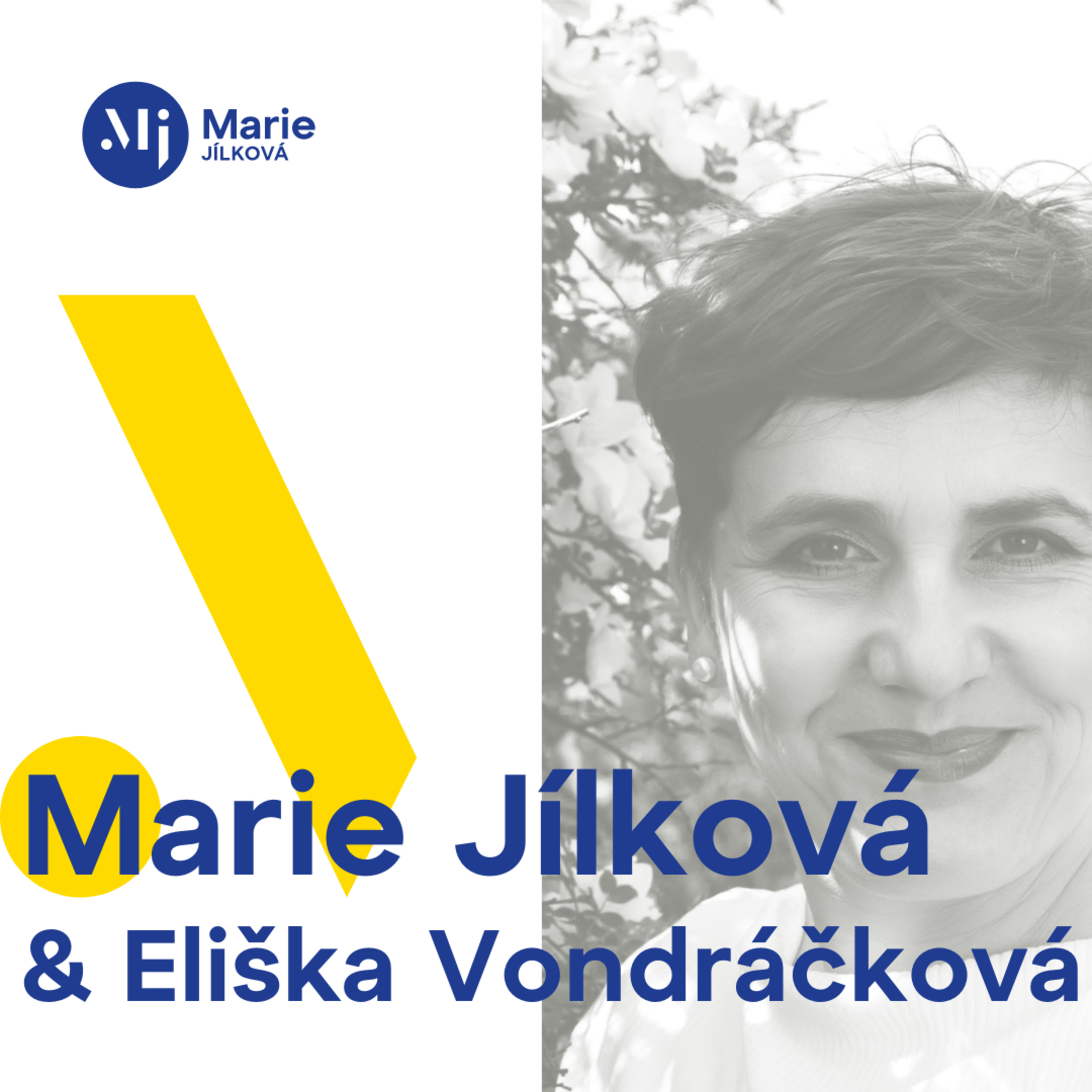  Jílková a Vondráčková: Výchova dětí bez bití a pohlavků aneb jak zvládnout svoje děti a svoje emoce episode artwork