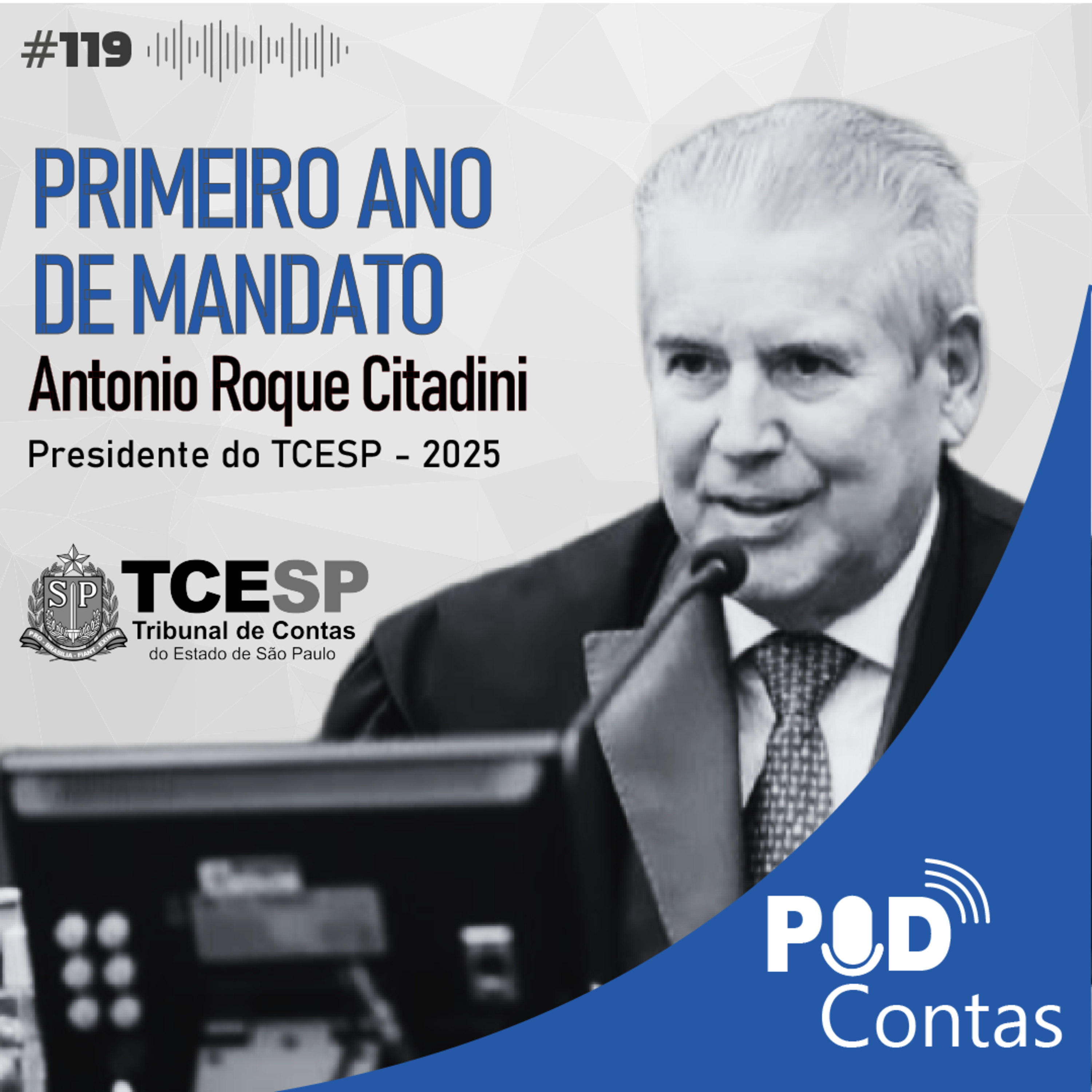 #119 Primeiro ano de mandato com o Conselheiro Antonio Roque Citadini