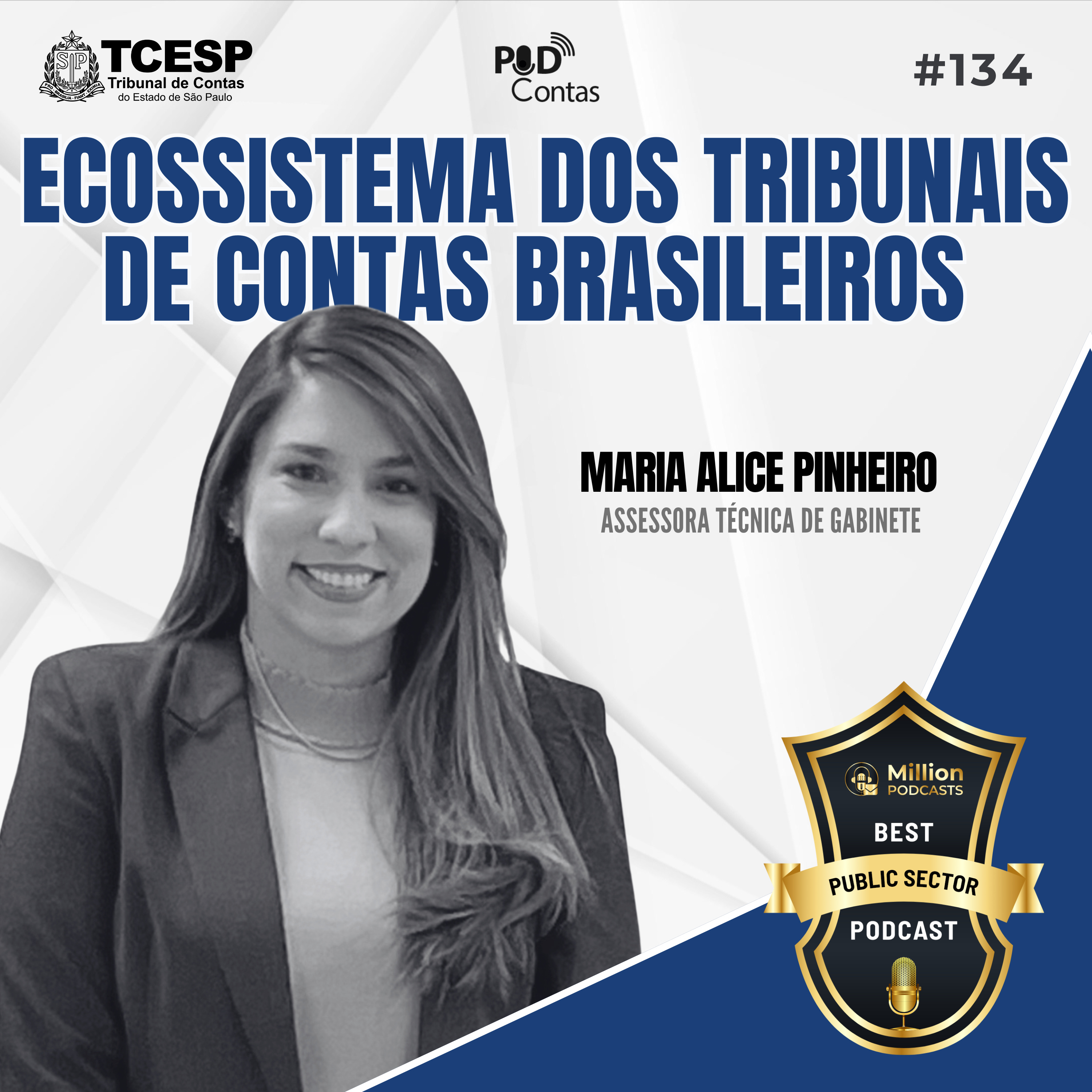 #134 Ecossistema dos Tribunais de Contas Brasileiros com Maria Alice Pinheiro