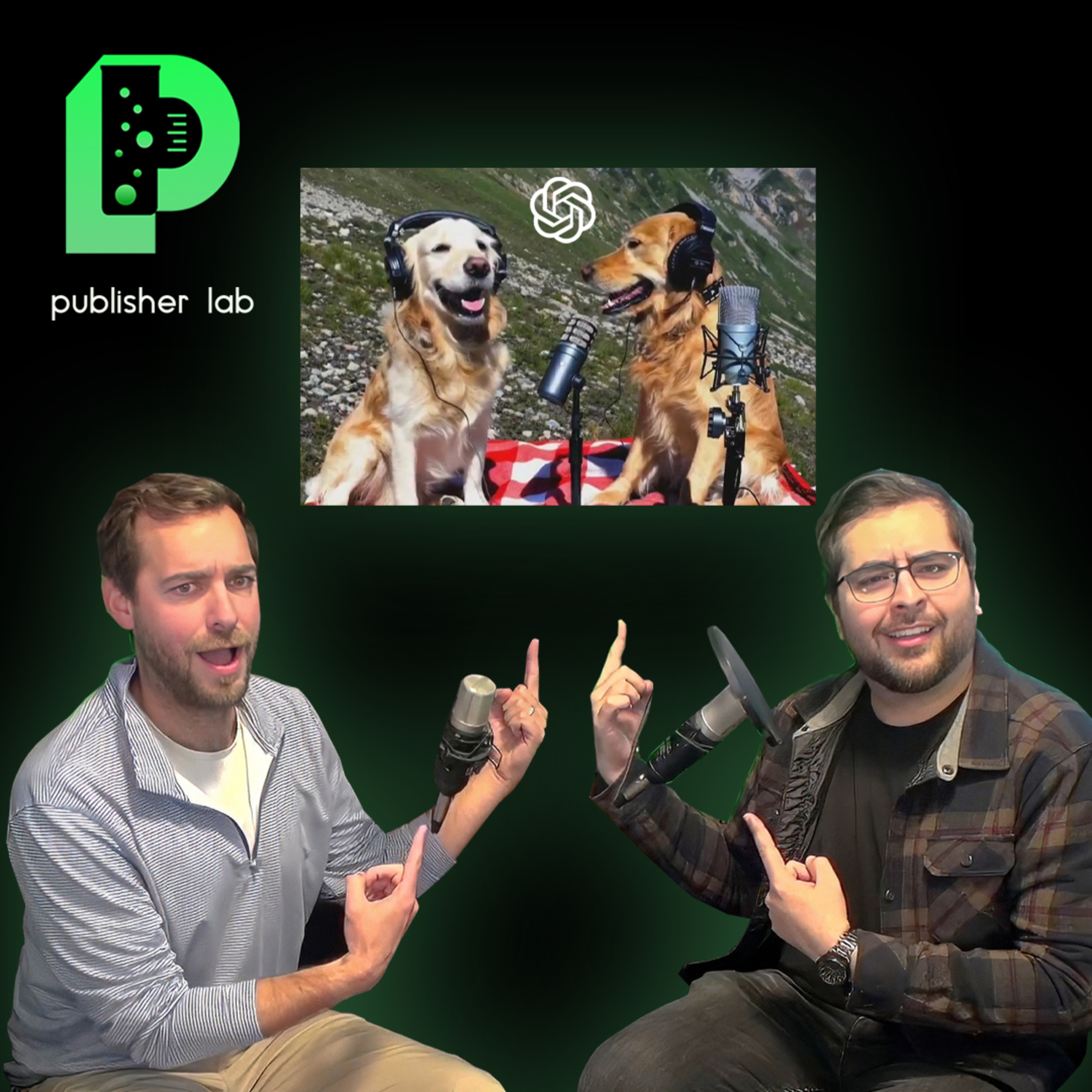Changes to Web Search & How AI is Shaping Publishers' Strategies | Publisher Lab Ep. 55 episode artwork