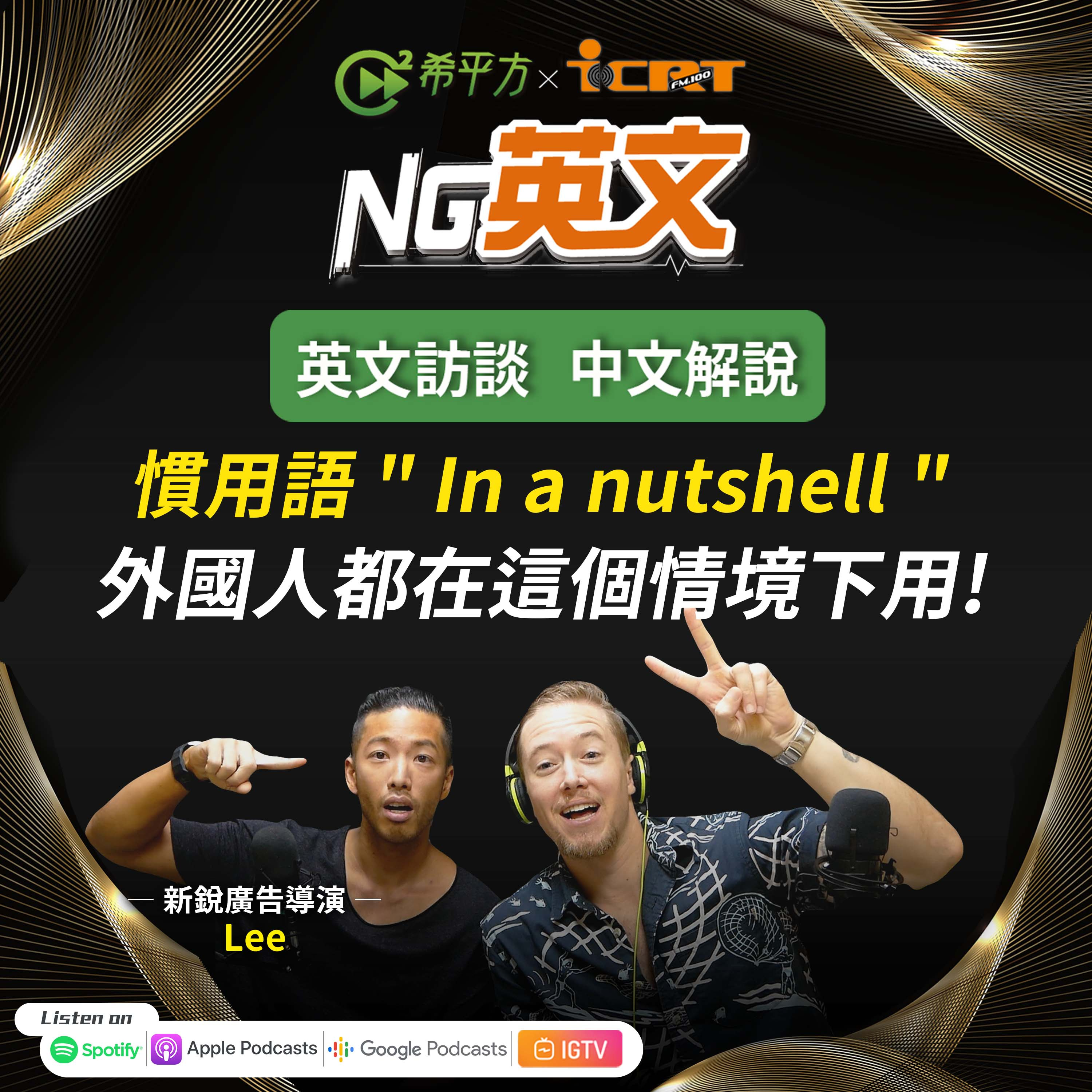 #211 慣用語 " In a nutshell " 意思是?外國人都在這個情境下用它!