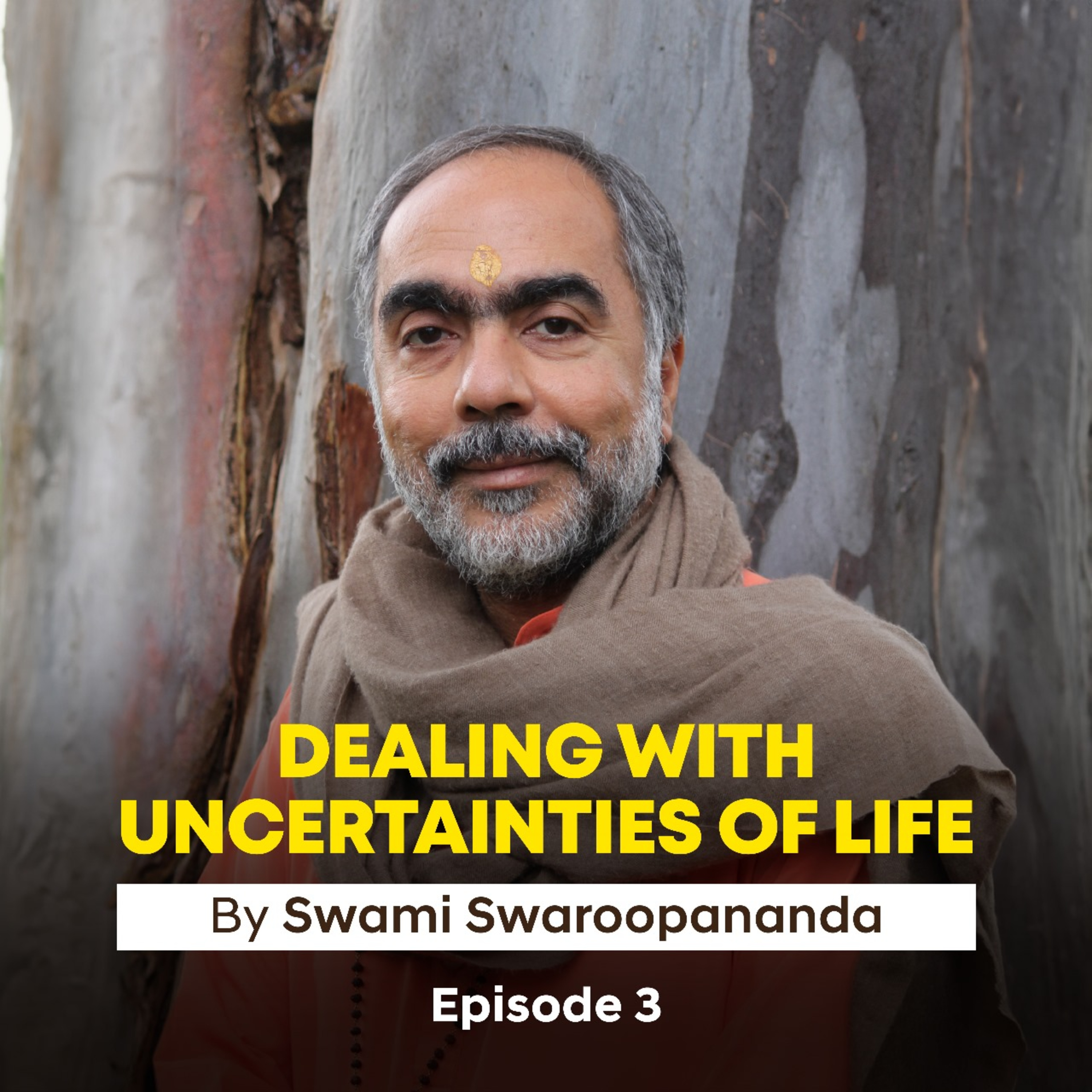 Dealing With Uncertainties Of Life | Episode 3 | Insights by Swami Swaroopananda