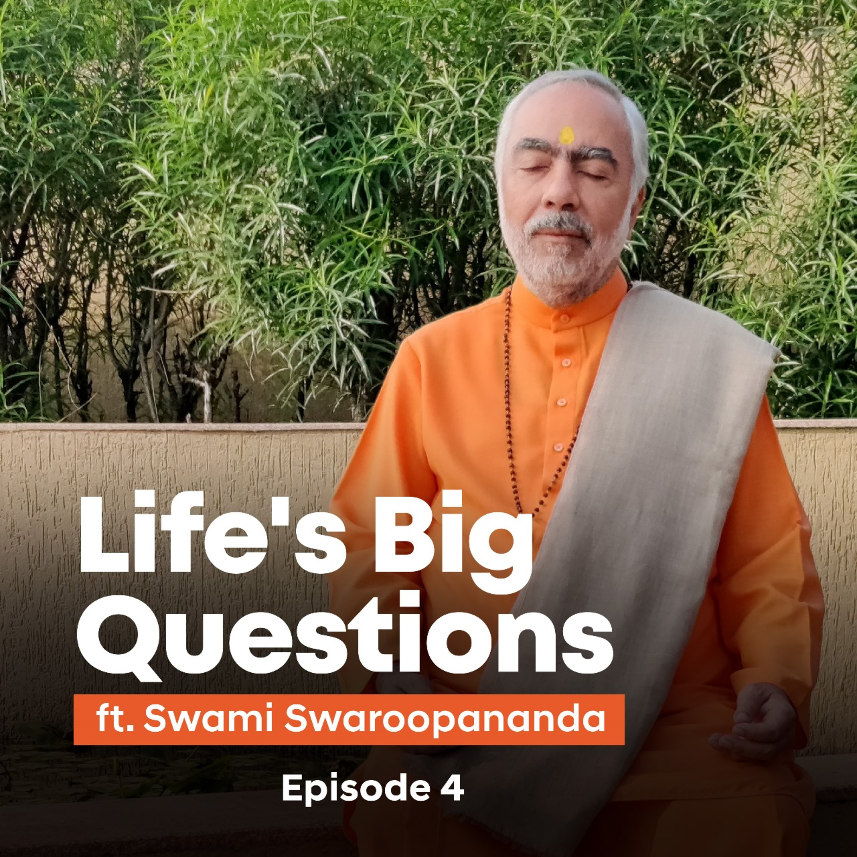 Life's Big Questions answered by Swami Swaroopananda Episode 4