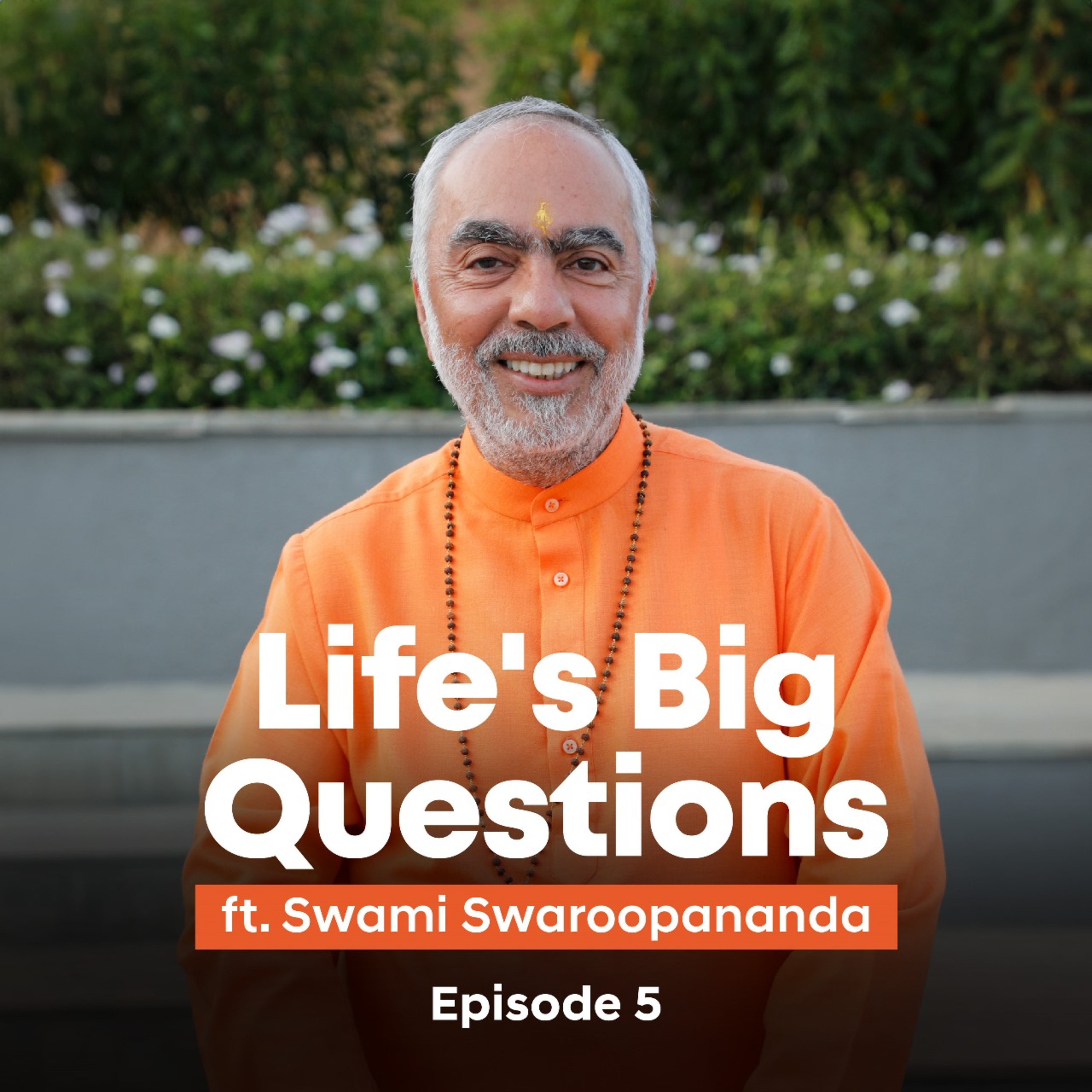 How Savitri Changed Her Destiny | Life's Big Questions answered by Swami Swaroopananda | Episode 5