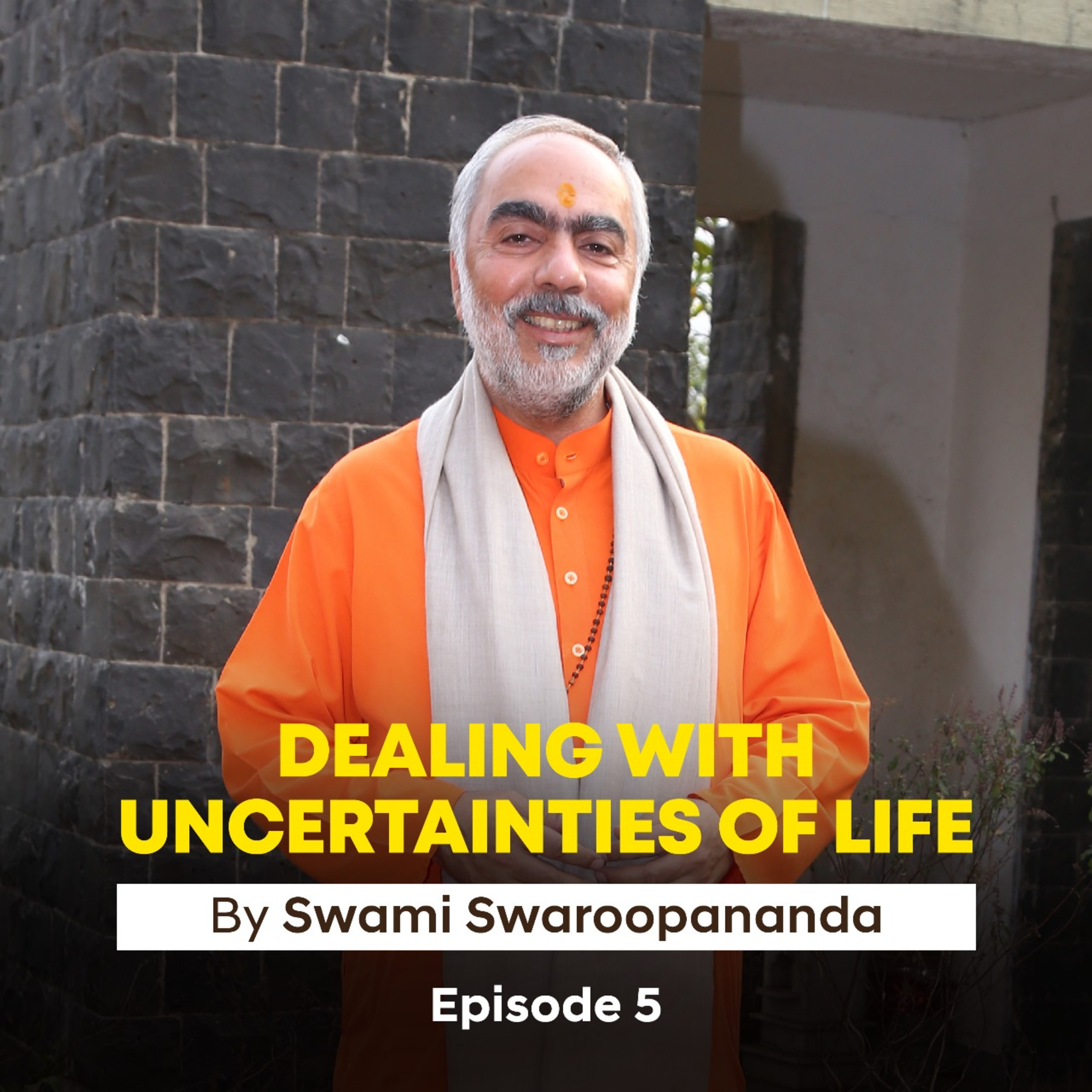 True happiness and permanent peace | Dealing With Uncertainties Of Life | Episode 5 | Insights by Swami Swaroopananda
