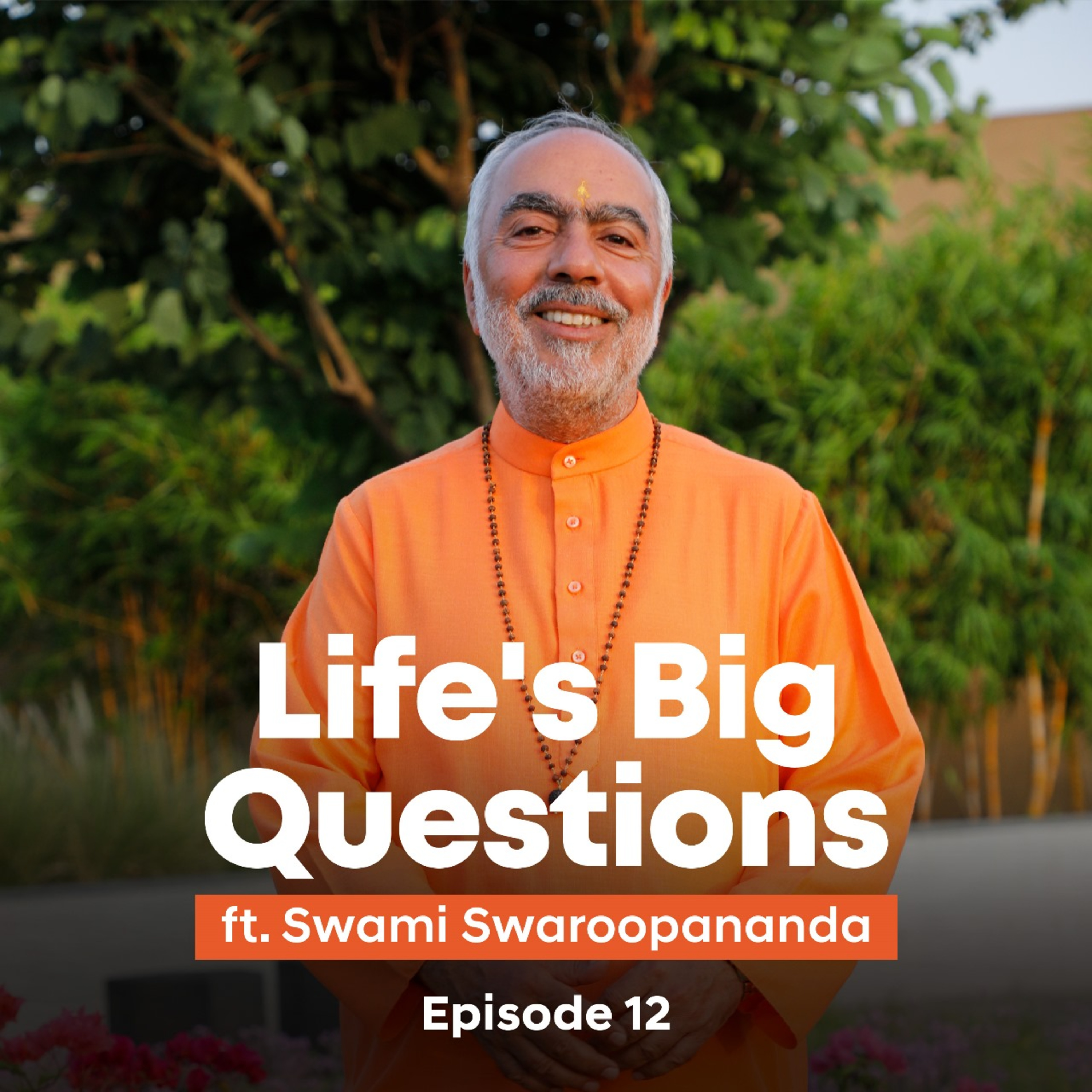 How to balance material and spiritual life? | Life's Big Questions answered by Swami Swaroopananda | Episode 12