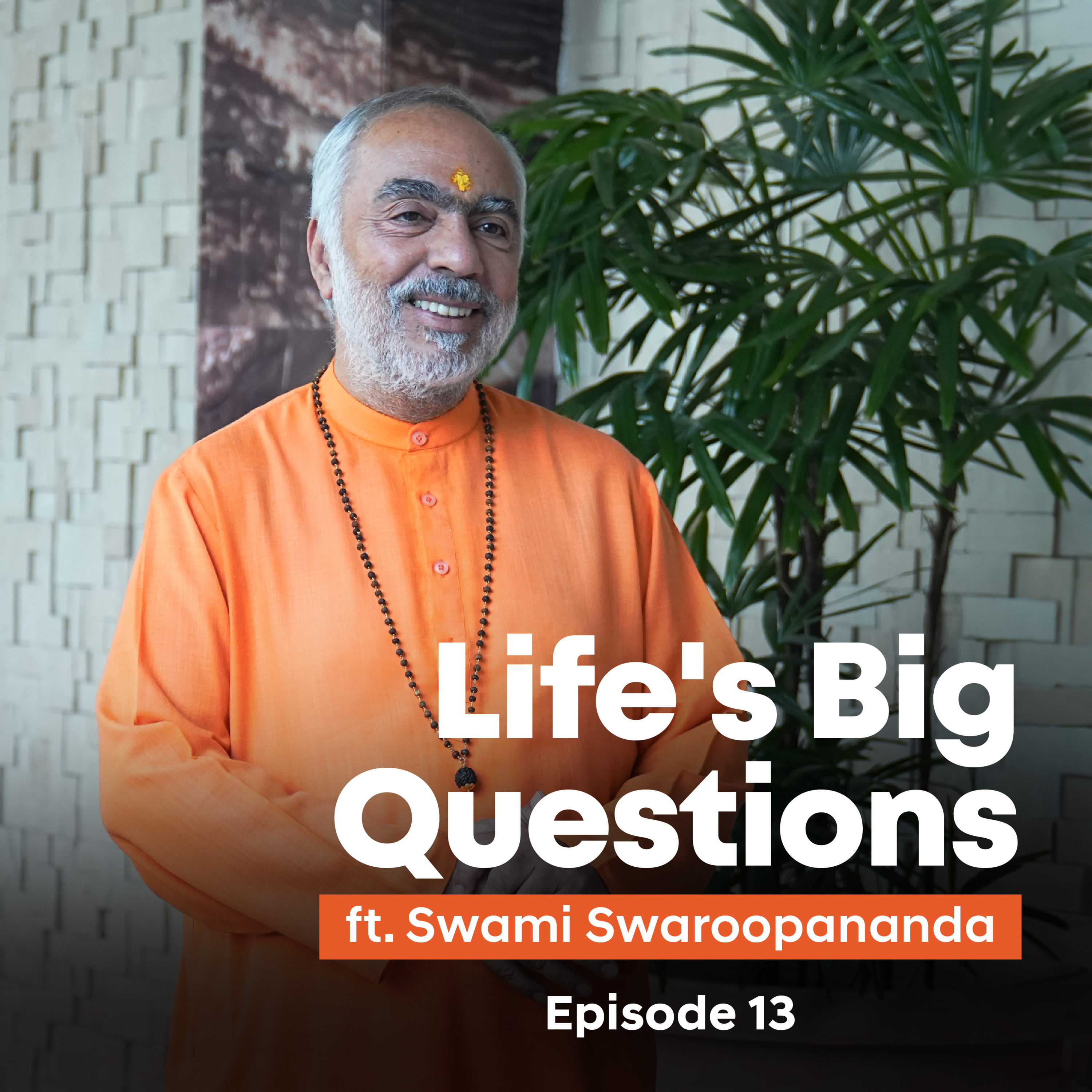 Power of The Holy Gita | Life's Big Questions answered by Swami Swaroopananda Episode 13