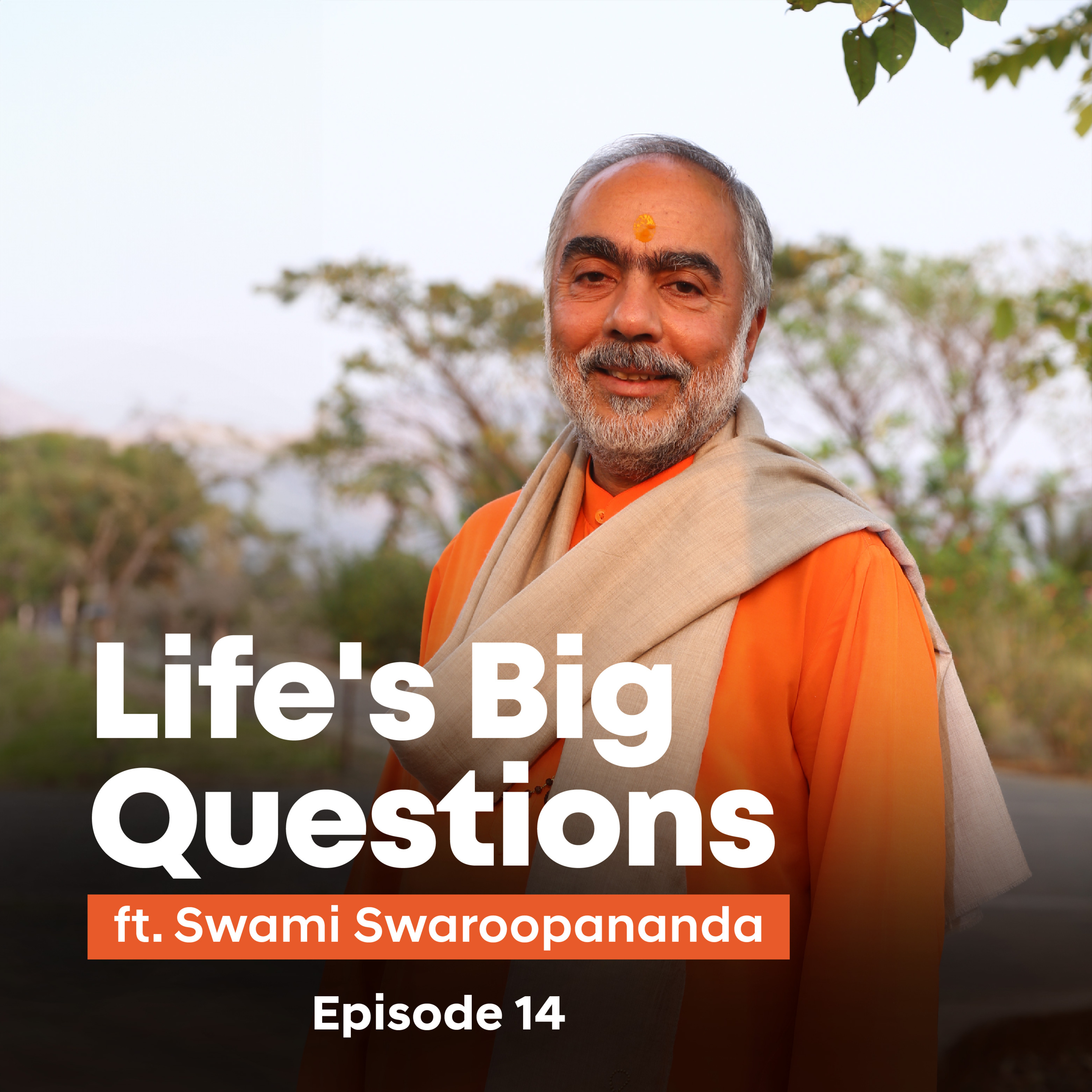 Significance of chanting Om | Life's Big Questions answered by Swami Swaroopananda Episode 14
