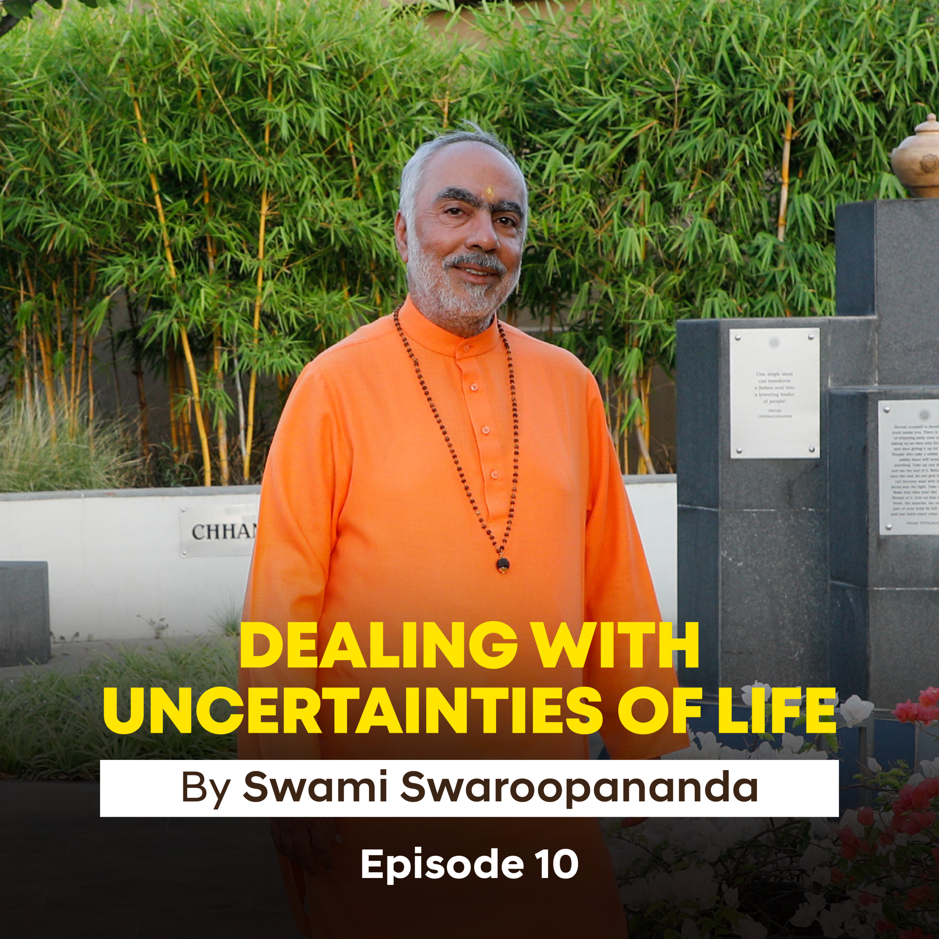 Understanding Misguided Thoughts | Dealing With Uncertainties Of Life Ep 10 | Insights by Swami Swaroopananda