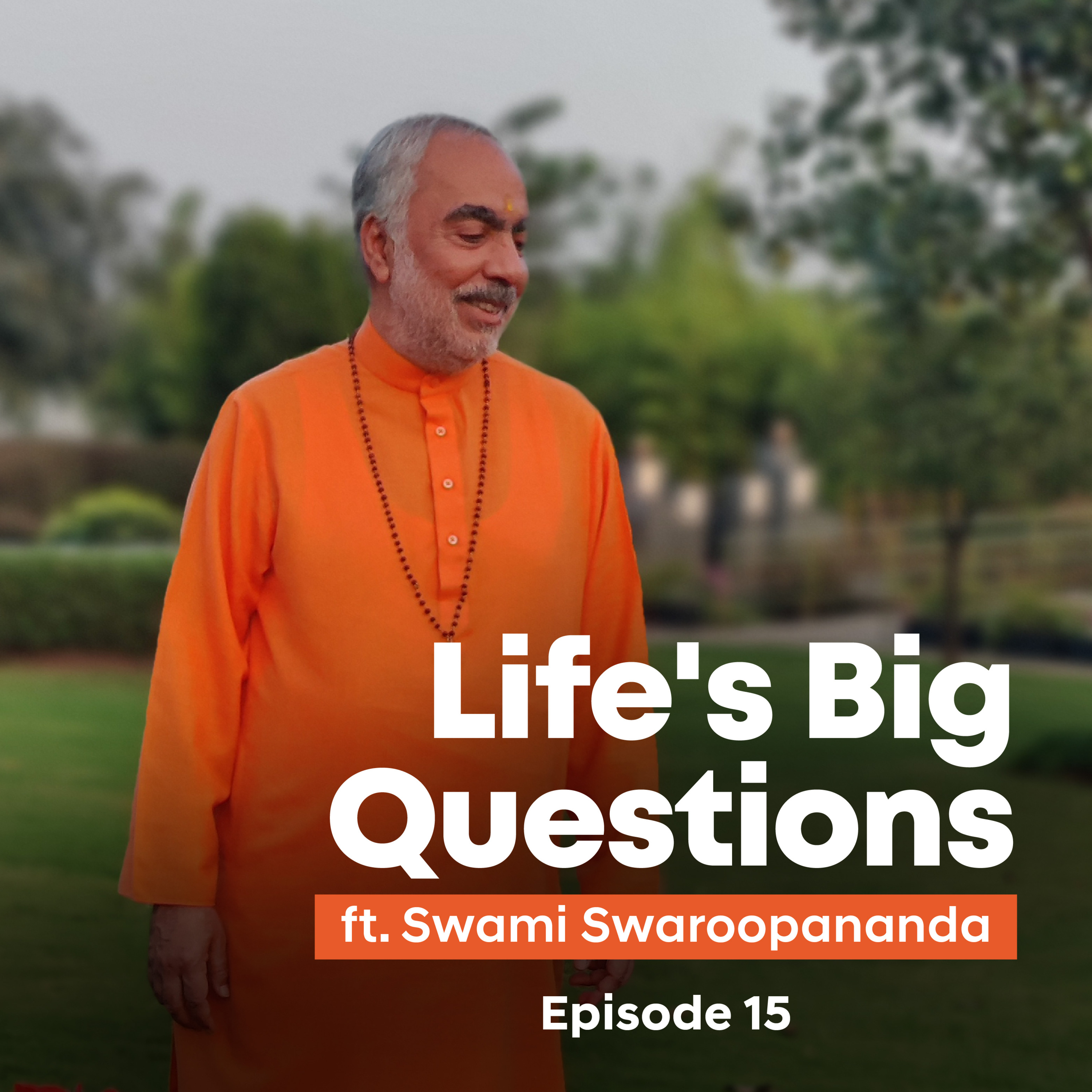 First Steps in Vedic Study | Life's Big Questions answered by Swami Swaroopananda | Episode 15