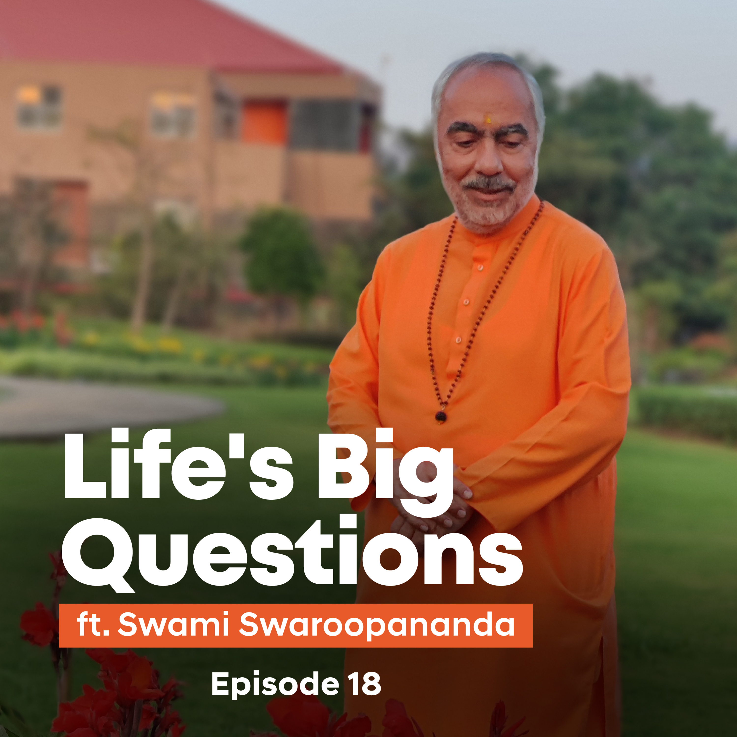 How did the world begin? | Life's Big Questions answered by Swami Swaroopananda | Episode 18