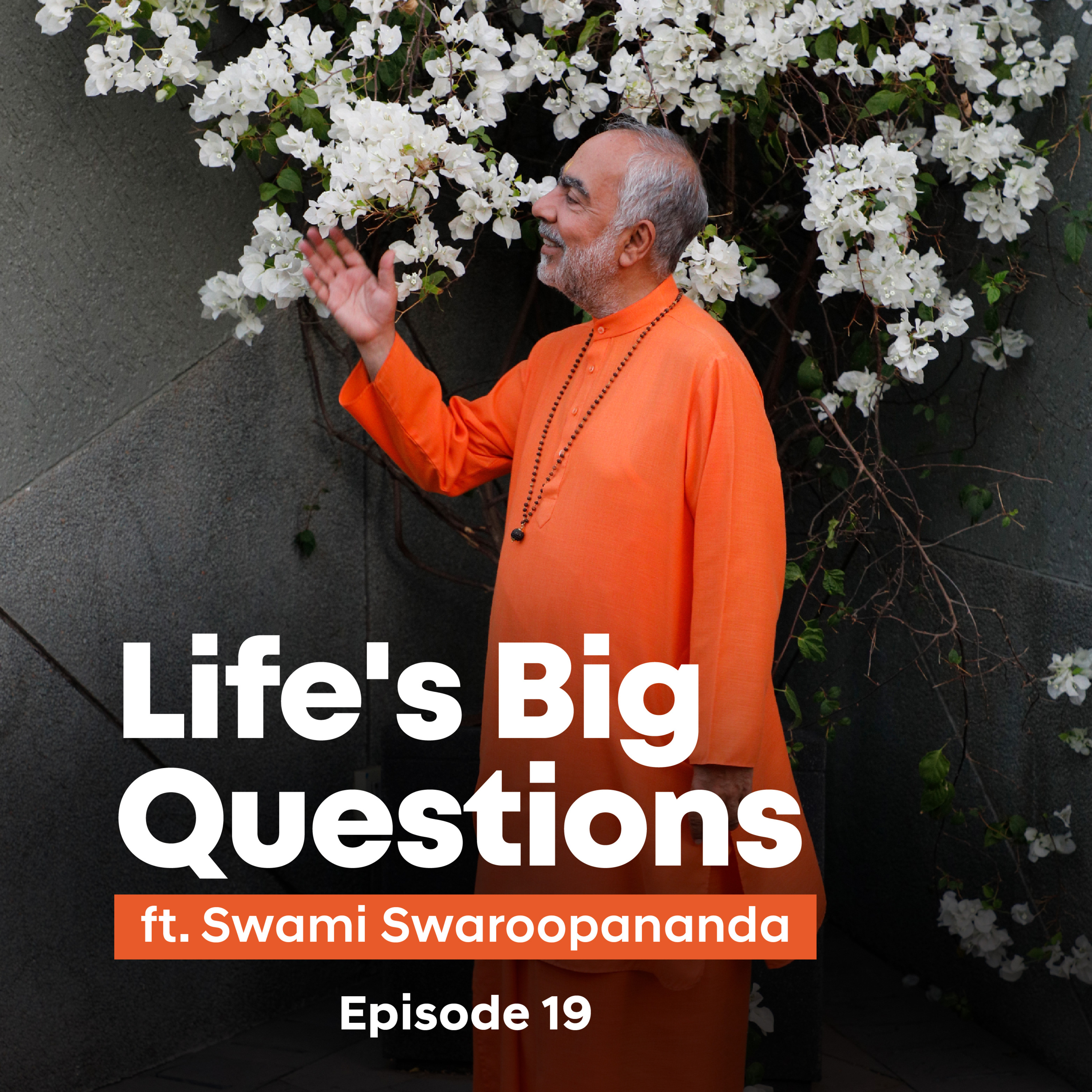 Krisha’s role in Arjuna’s Kurukshetra | Life's Big Questions answered by Swami Swaroopananda | Episode 19
