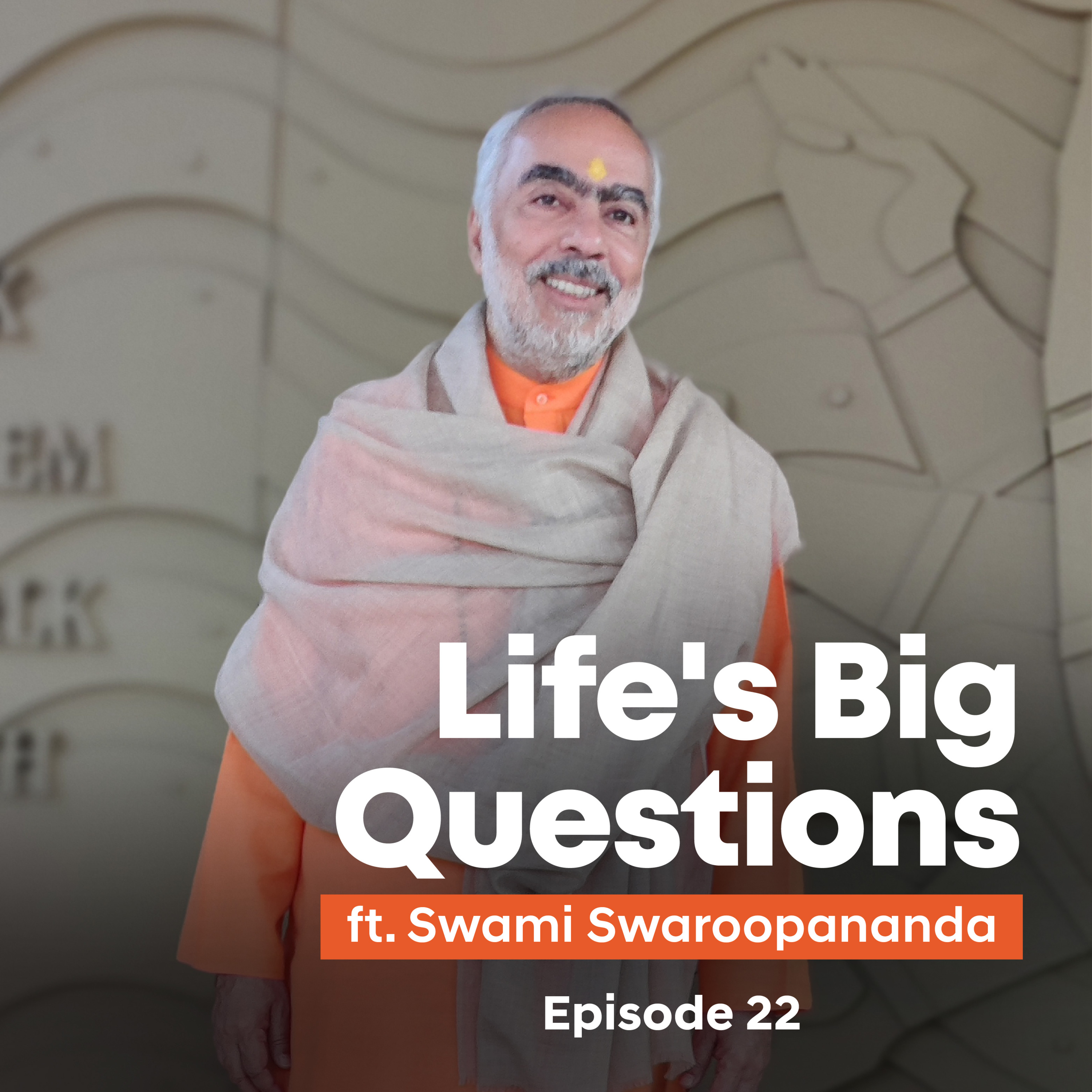 Understanding the concept of soul | Life's Big Questions answered by Swami Swaroopananda | Episode 22