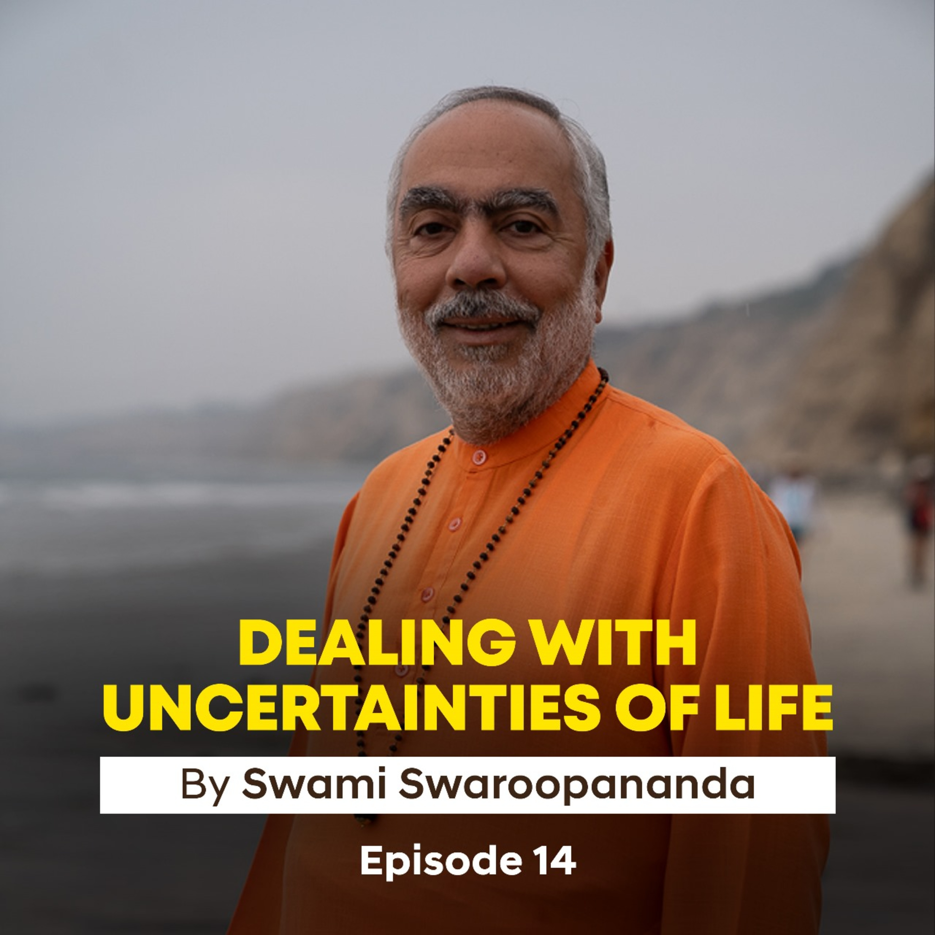 Who Are You, Really? | Dealing With Uncertainties Of Life | Episode 14 | Insights by Swami Swaroopananda