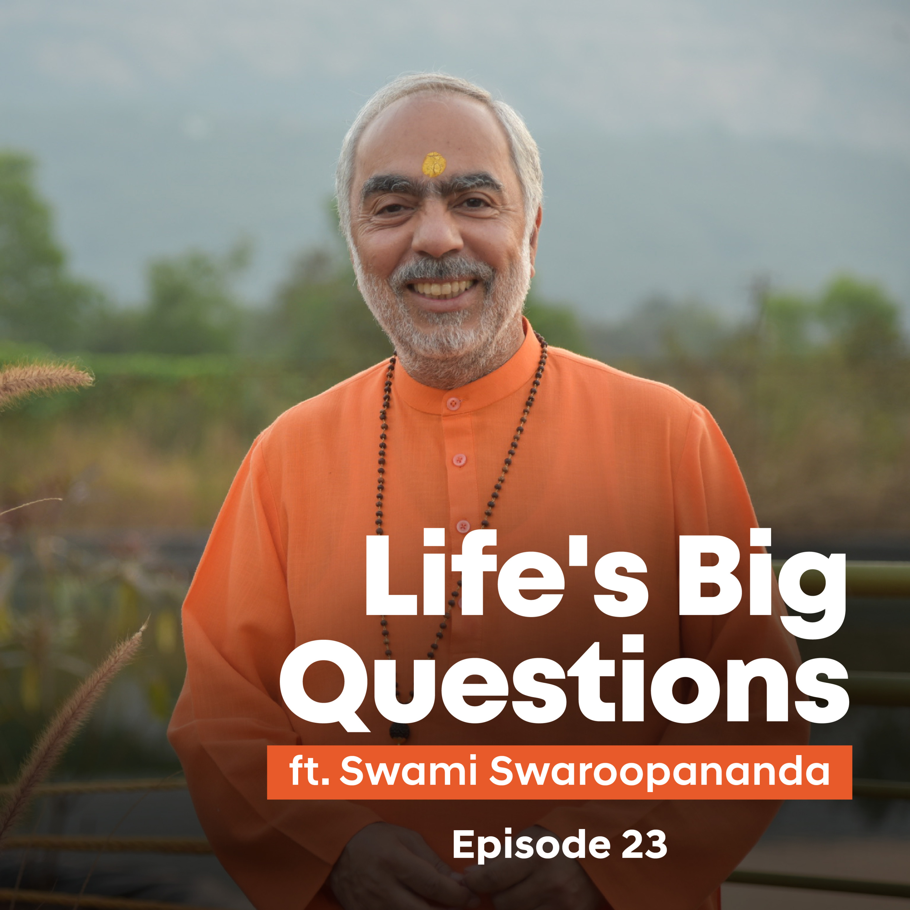 What’s Blocking Your Peace? | Life's Big Questions answered by Swami Swaroopananda | Episode 23
