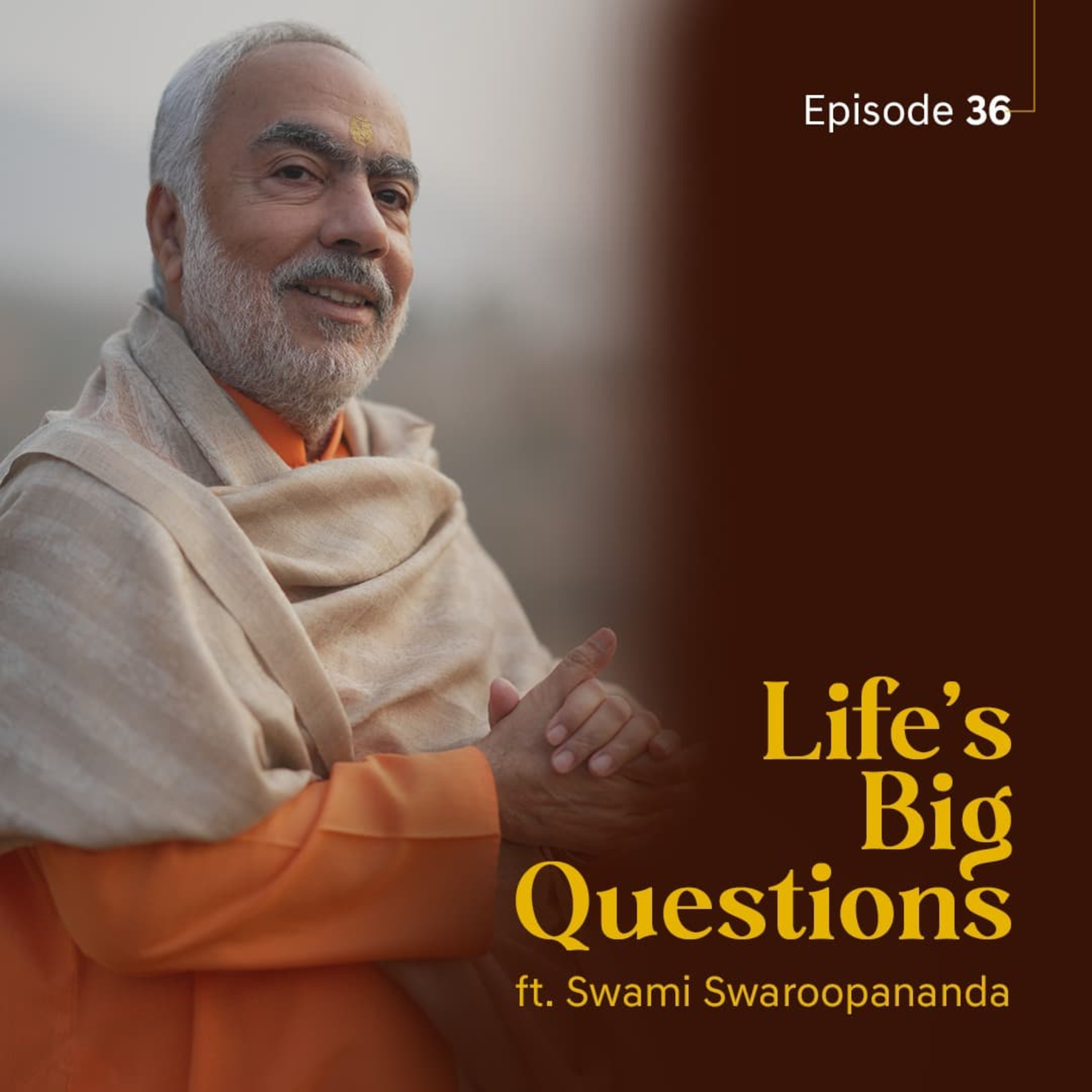 How Powerful Is Your Mind? | Life's Big Questions ft. Swami Swaroopananda | Episode 36