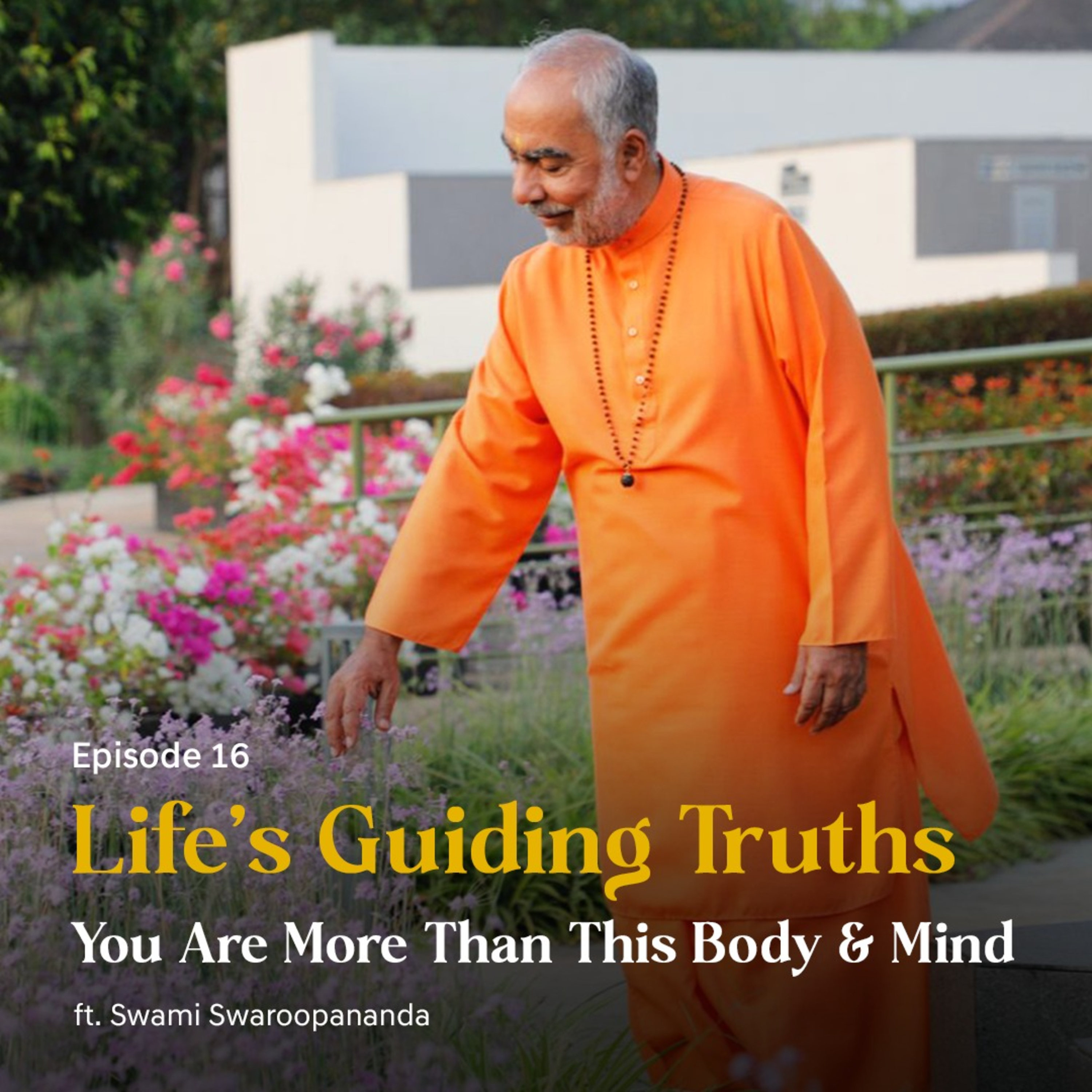 You Are More Than This Body & Mind | Life’s Guiding Truths | Episode 16