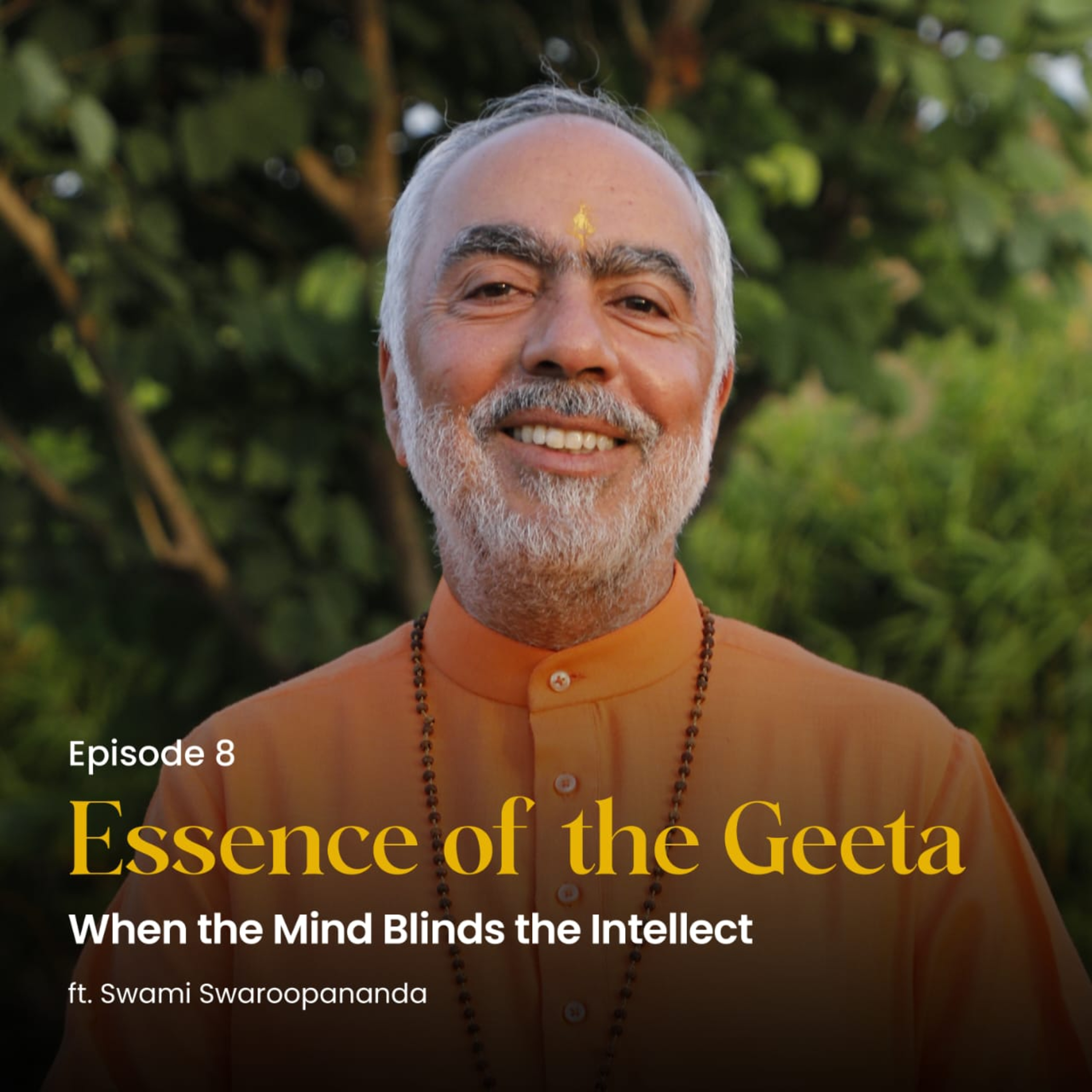 When the Mind Blinds the Intellect | Essence of the Geeta | Episode 8  episode artwork