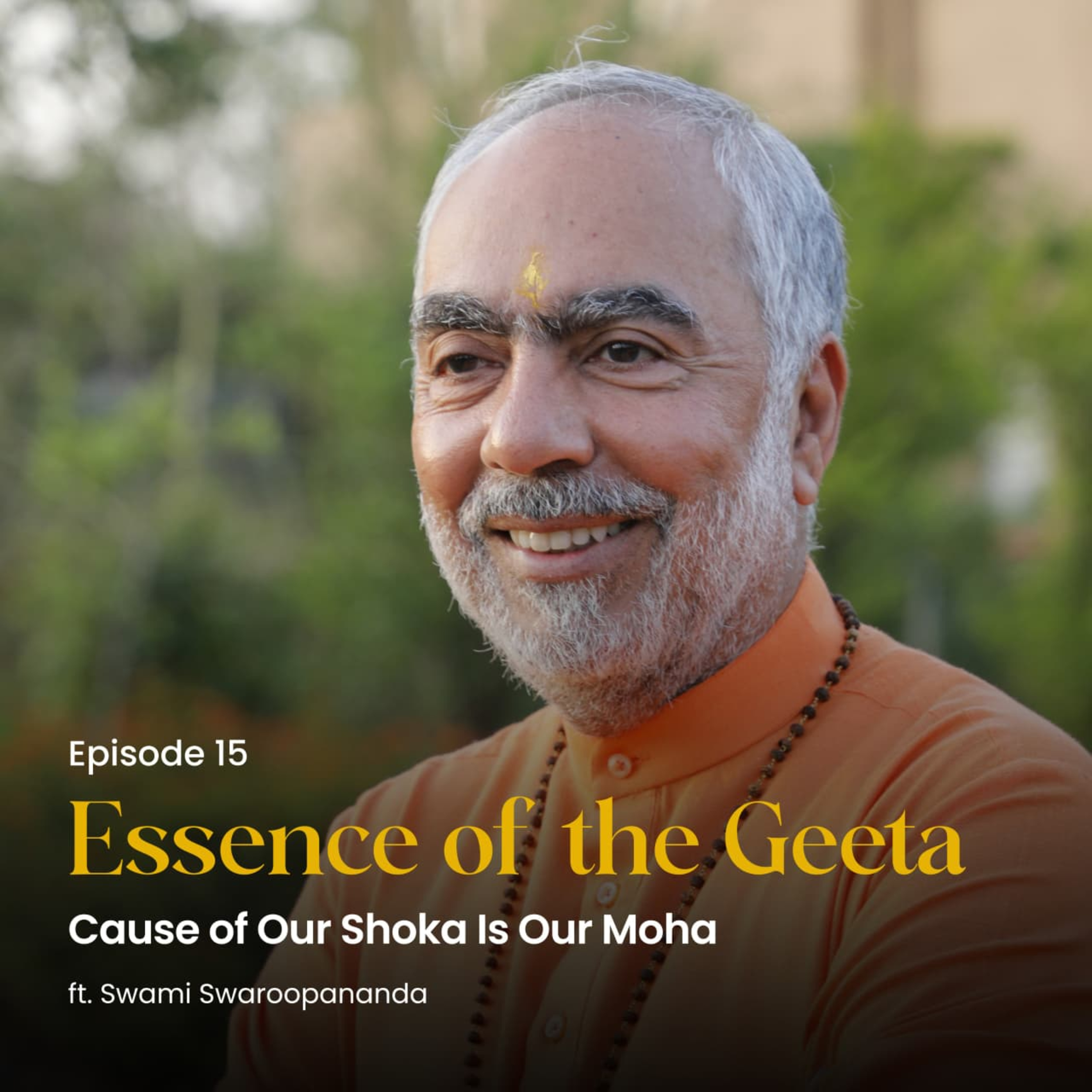 Cause of Our Shoka Is Our Moha | Essence of the Geeta | Episode 15