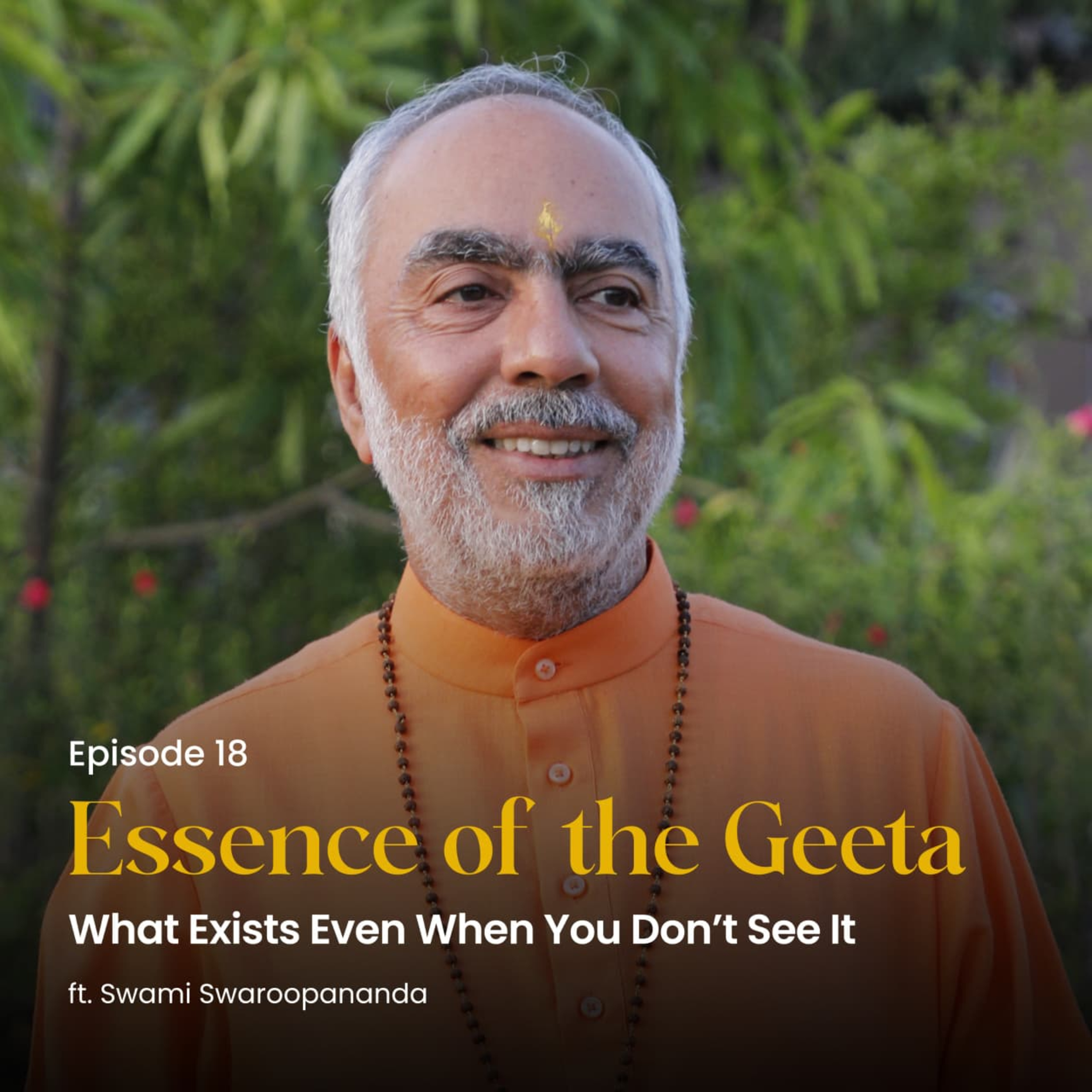 What Exists Even When You Don’t See It | Essence of the Geeta | Episode 18 episode artwork