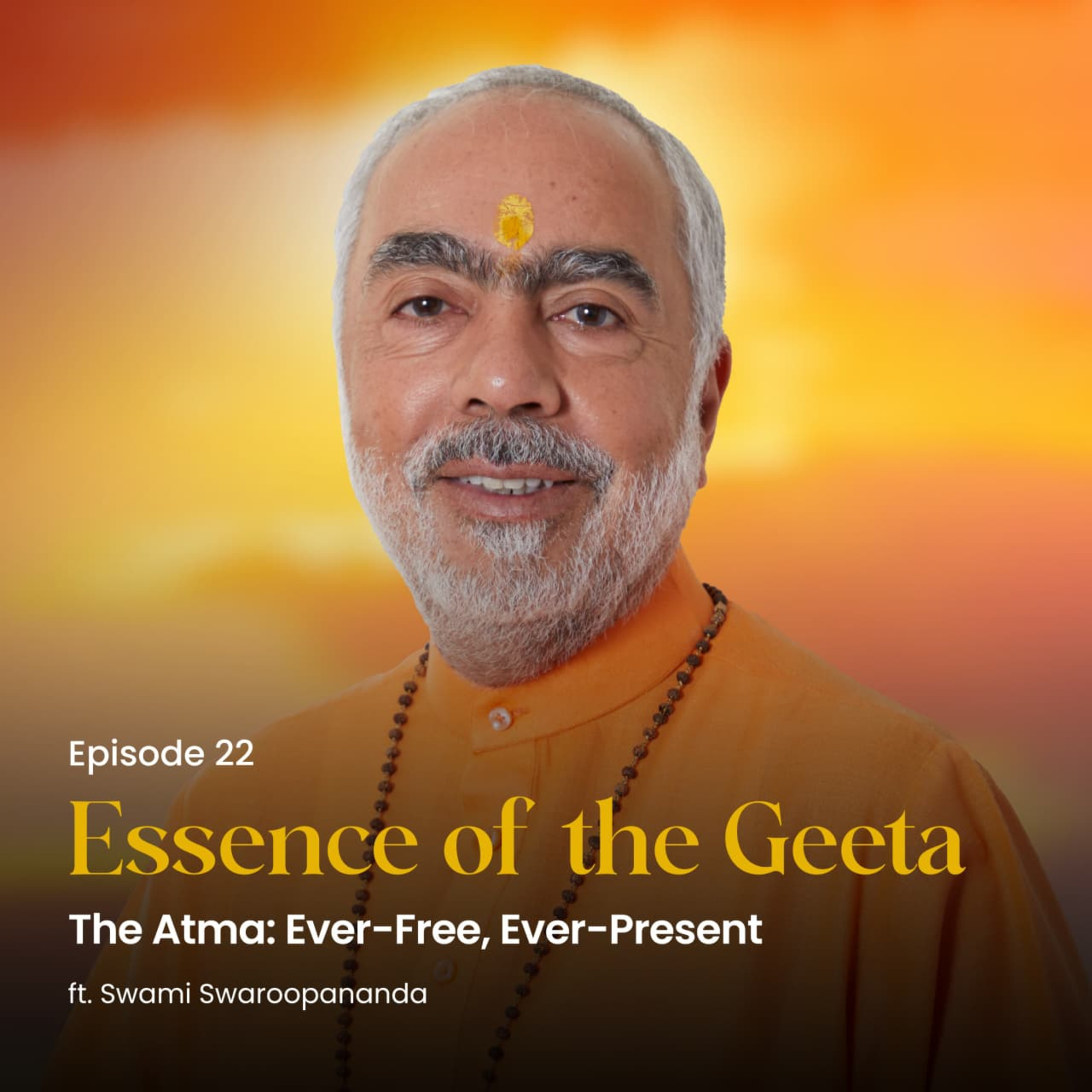 The Atma: Ever-Free, Ever-Present | Essence of the Geeta | Episode 22  episode artwork