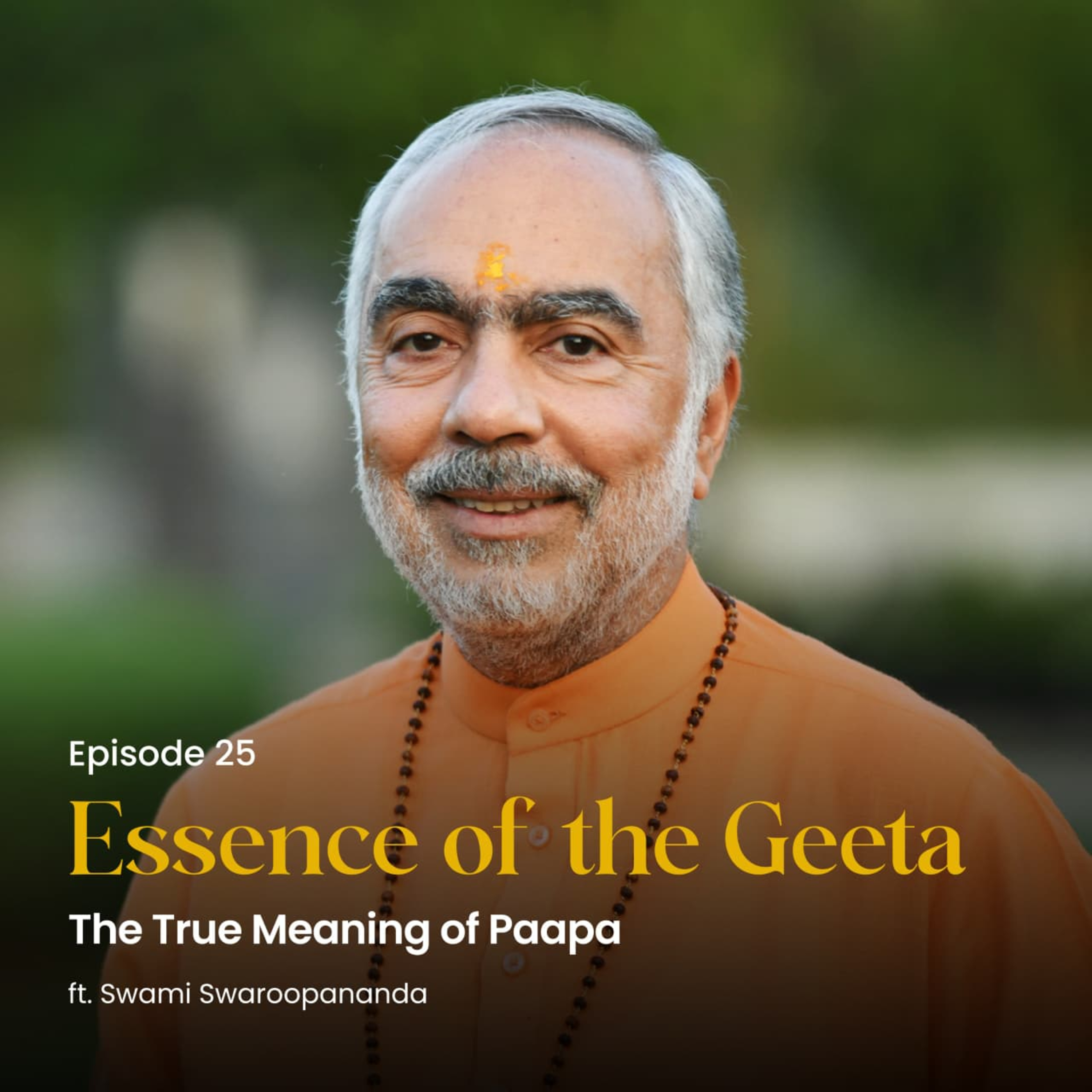 The True Meaning of Paapa | Essence of the Geeta | Episode 25