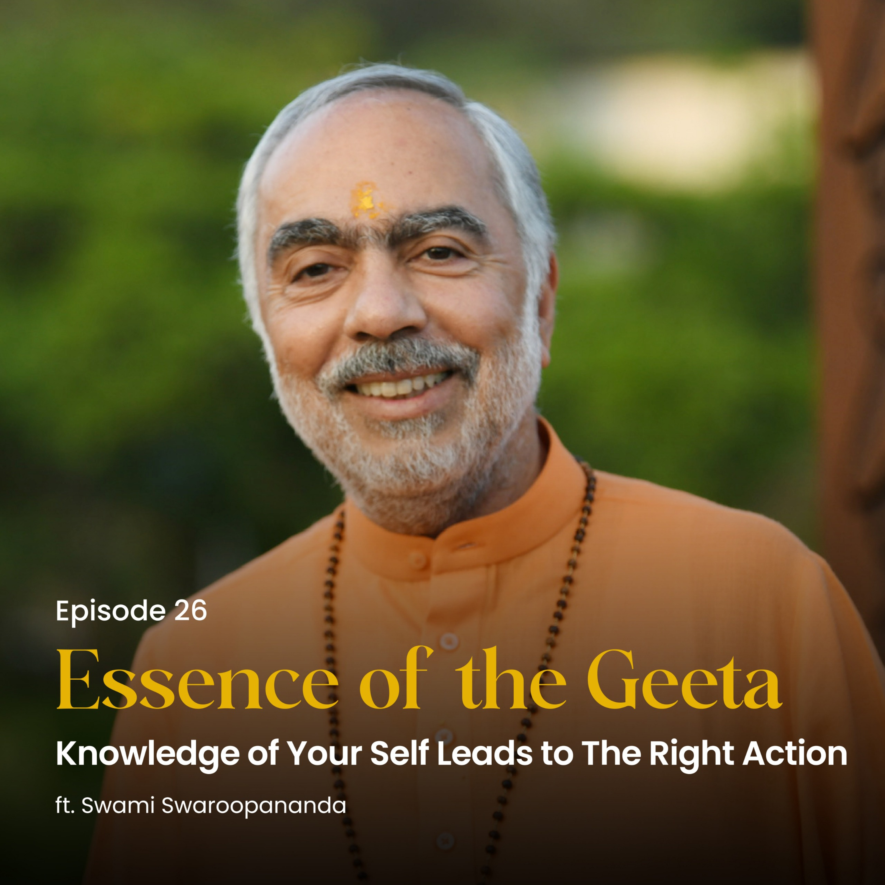 Knowledge of Your Self Leads to The Right Action | Essence of the Geeta | Episode 26