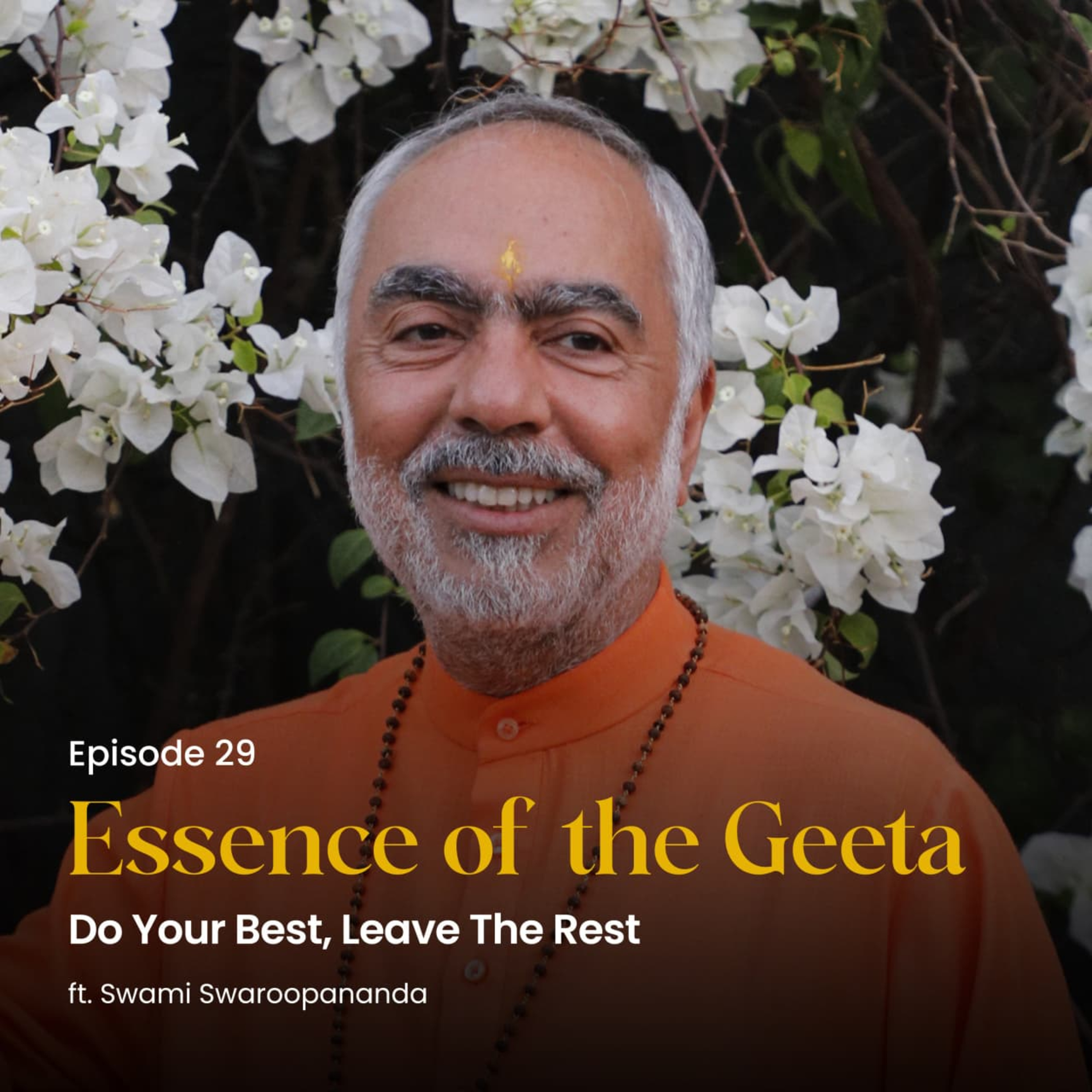 Do Your Best, Leave The Rest | Essence of the Geeta | Episode 29  episode artwork