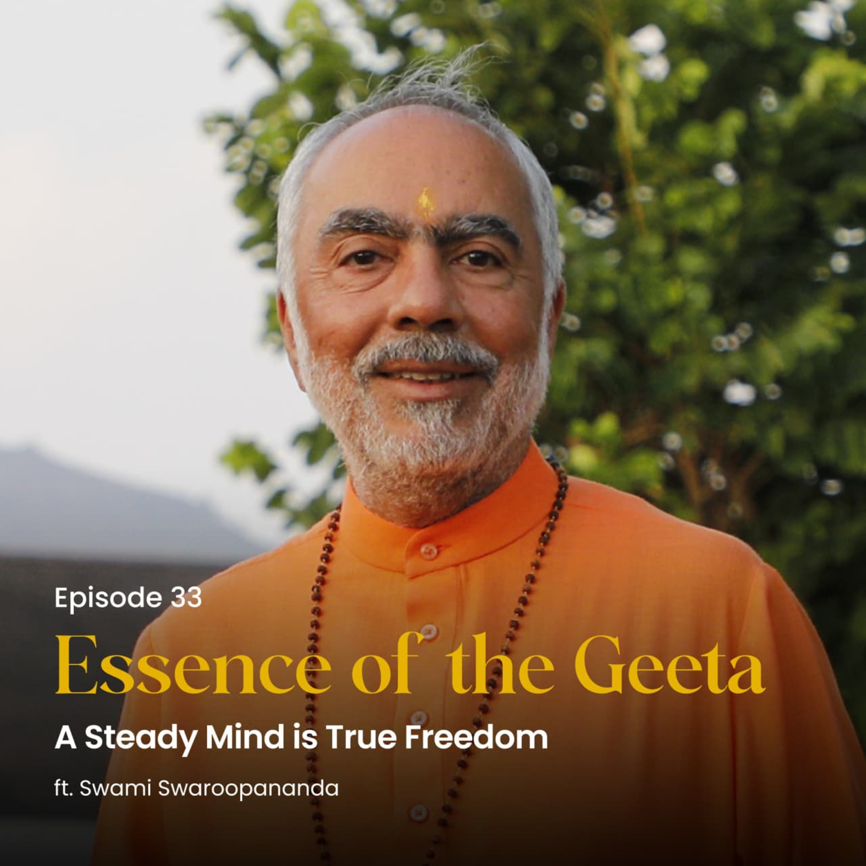 A Steady Mind is True Freedom | Essence of the Geeta | Episode 33  episode artwork