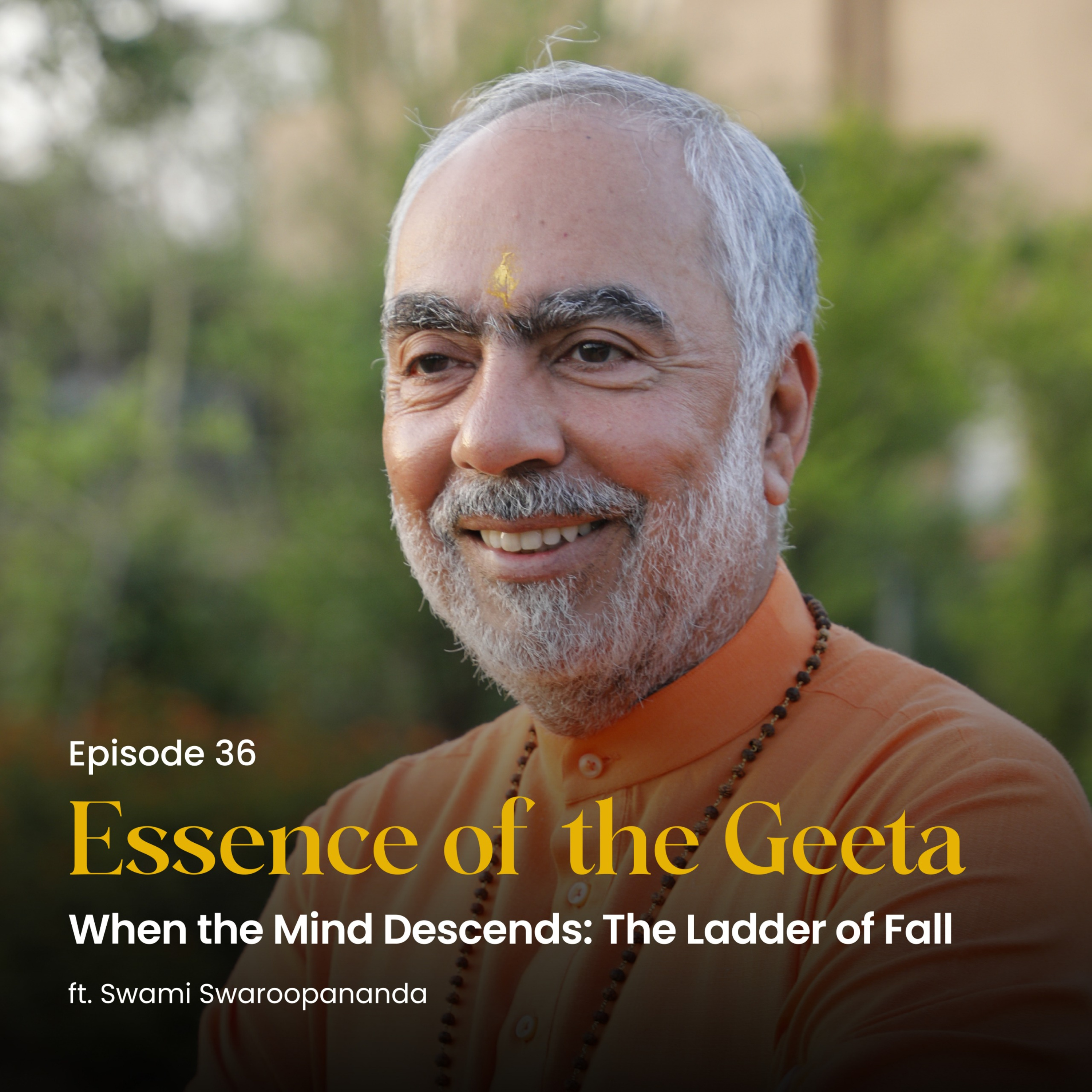 When the Mind Descends: The Ladder of Fall | Essence of the Geeta | Episode 36
