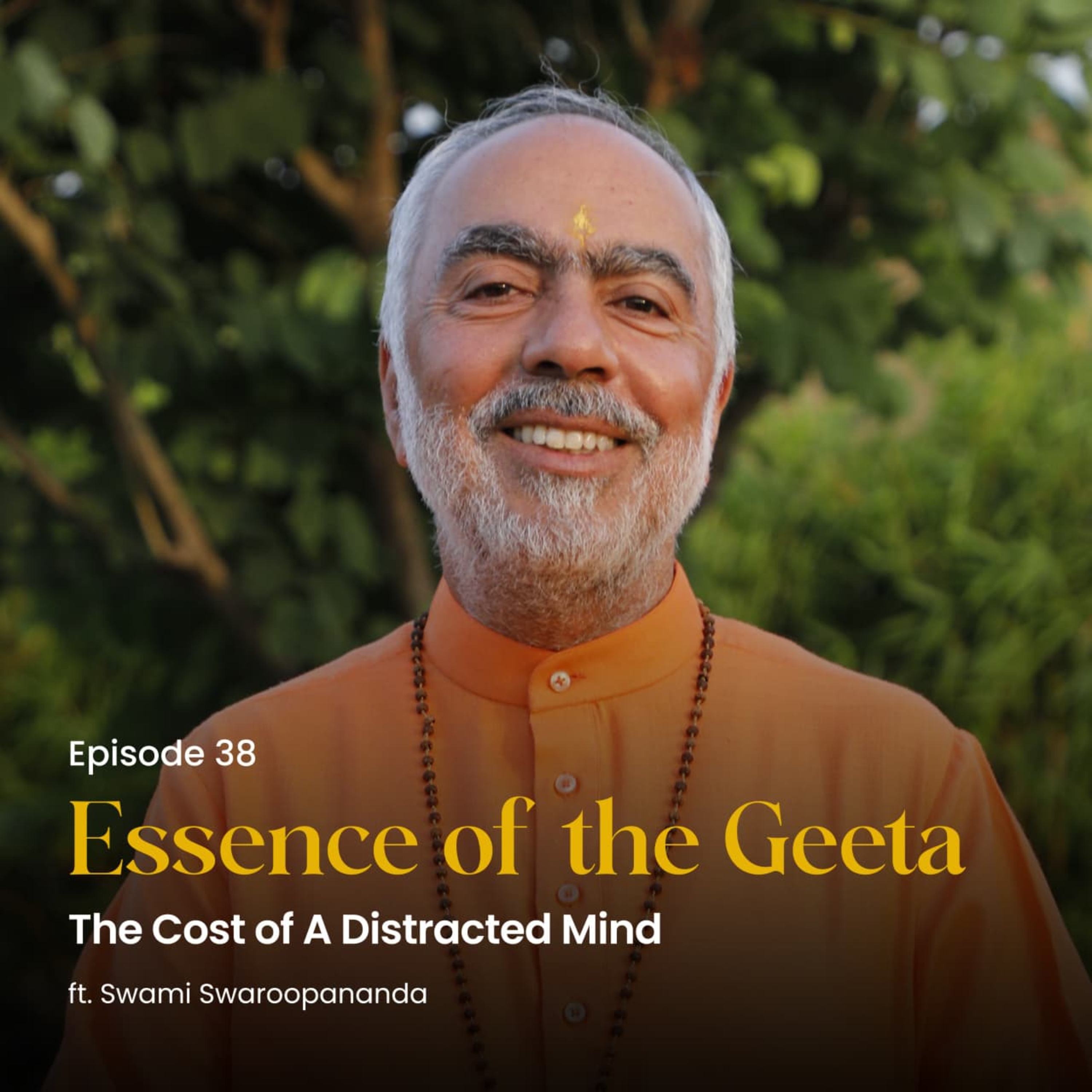 The Cost of A Distracted Mind | Essence of the Geeta | Episode 38  episode artwork