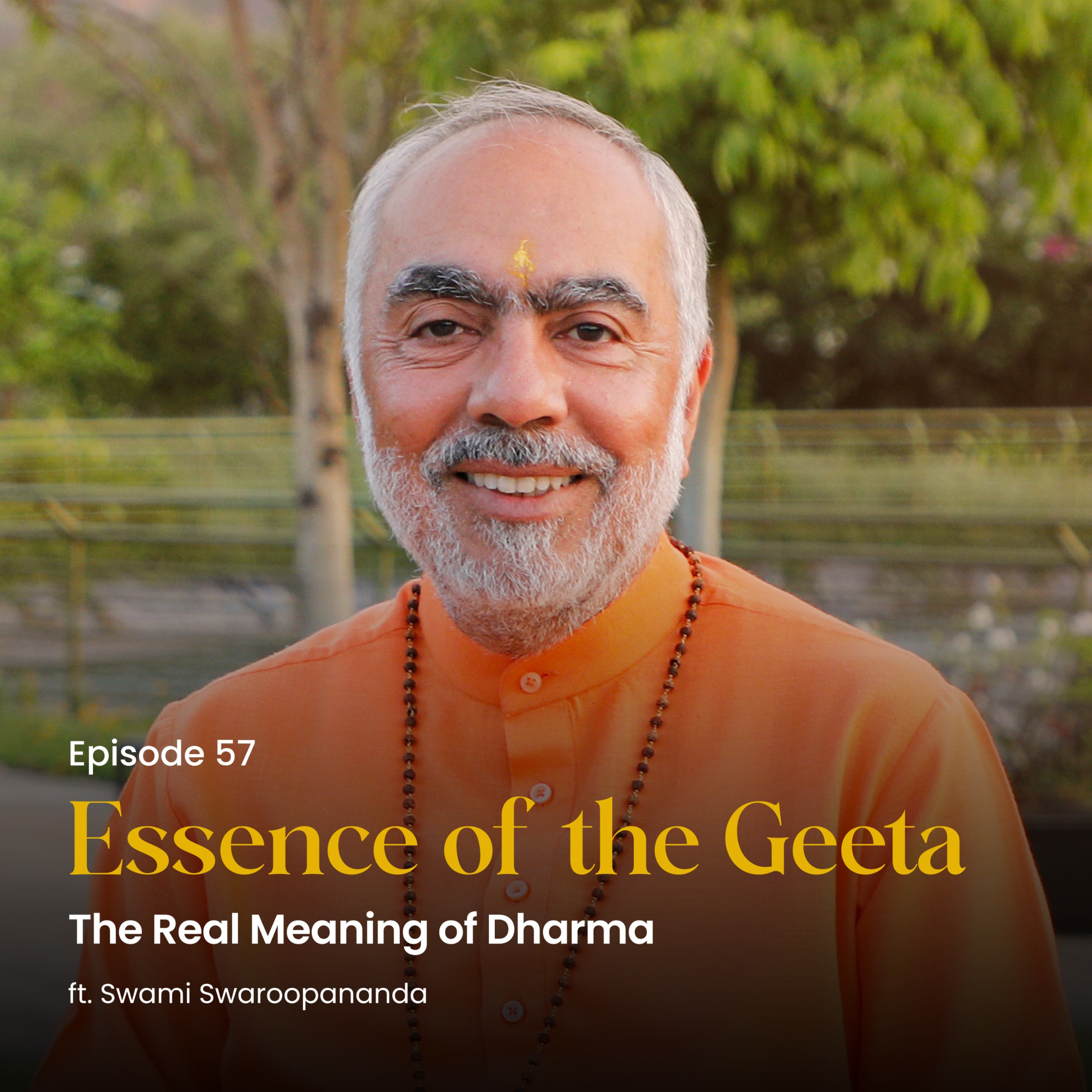 The Real Meaning of Dharma | Essence of the Geeta | Episode 57  episode artwork