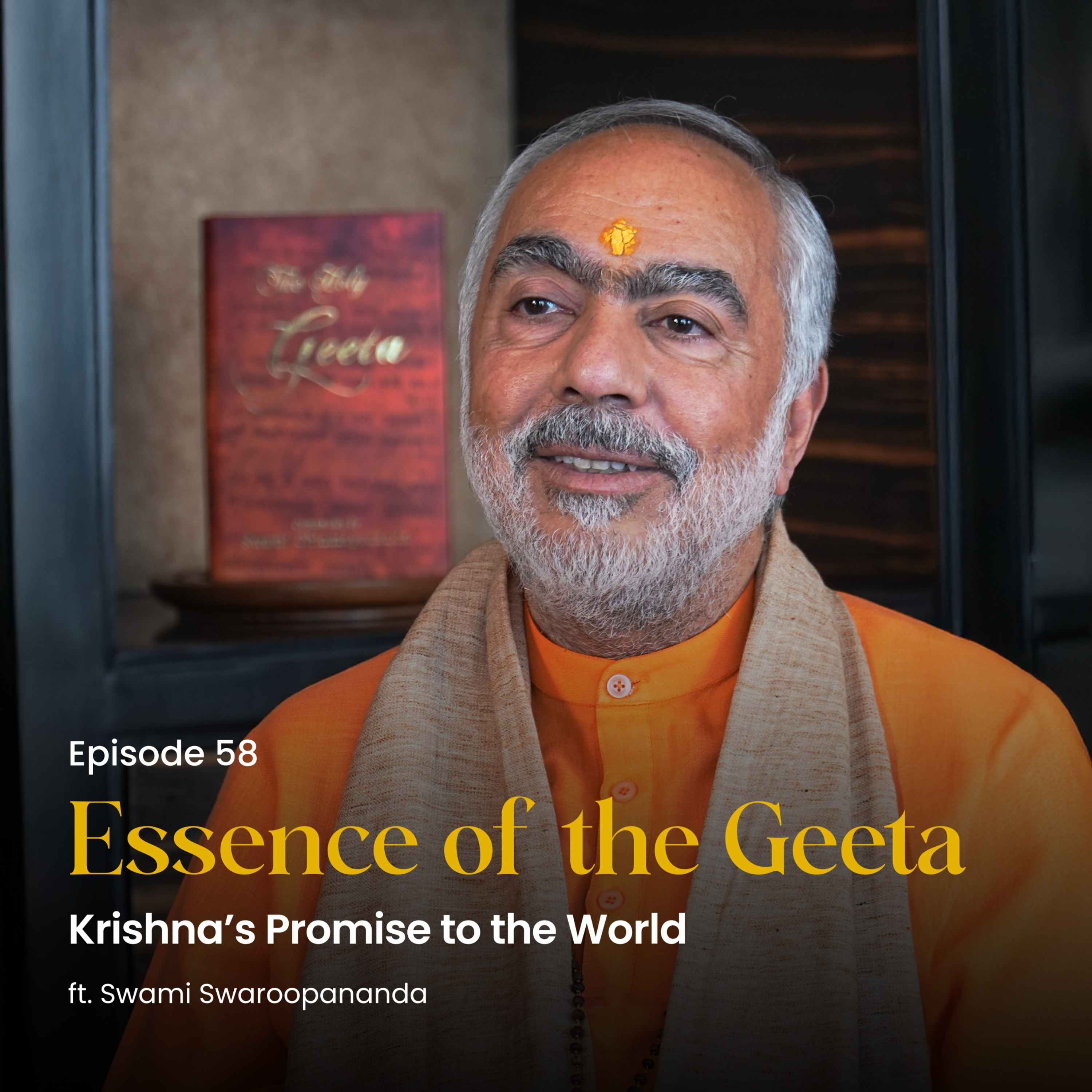 Krishna’s Promise to the World | Essence of the Geeta | Episode 58  episode artwork