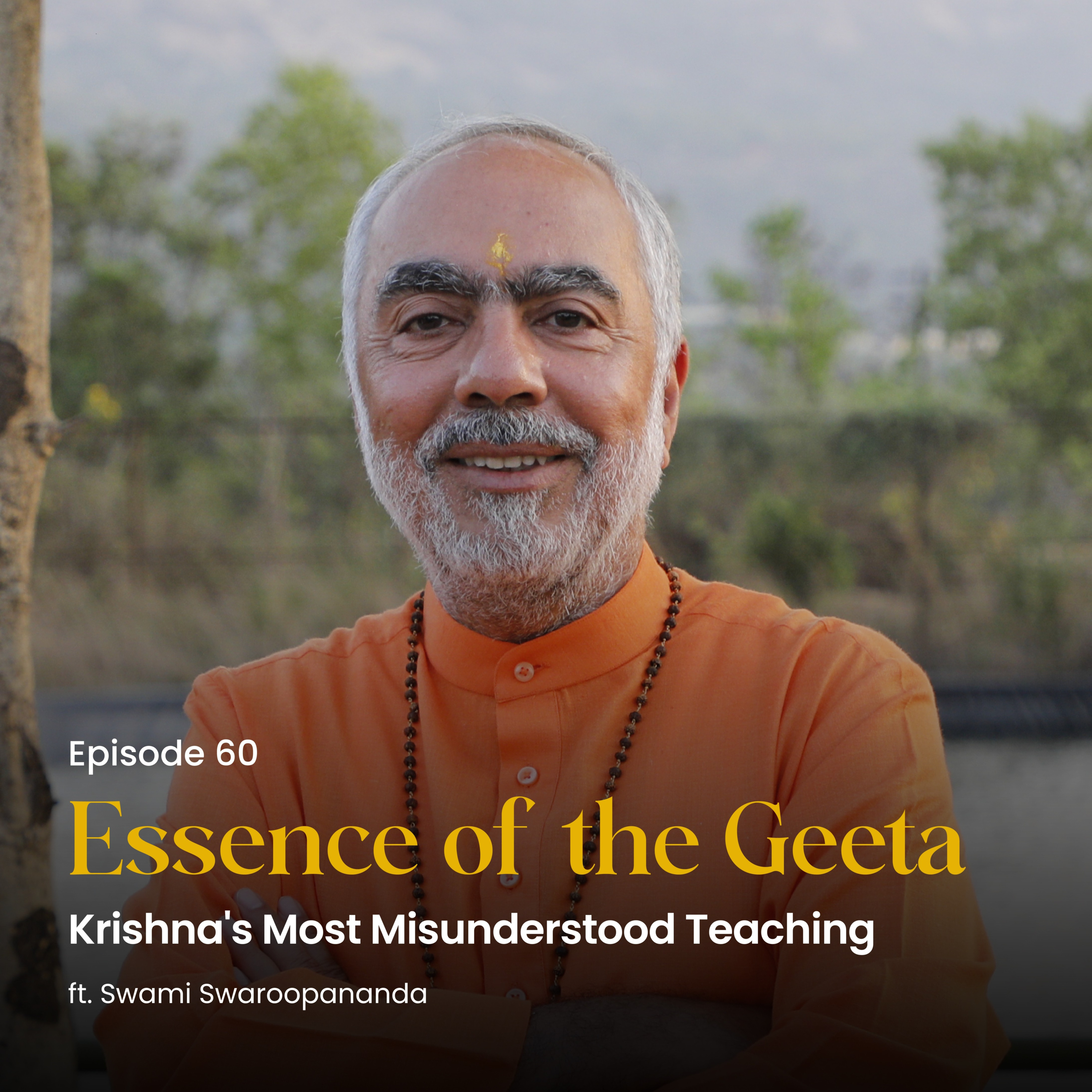 Krishna's Most Misunderstood Teaching | Essence of the Geeta | Episode 60 episode artwork