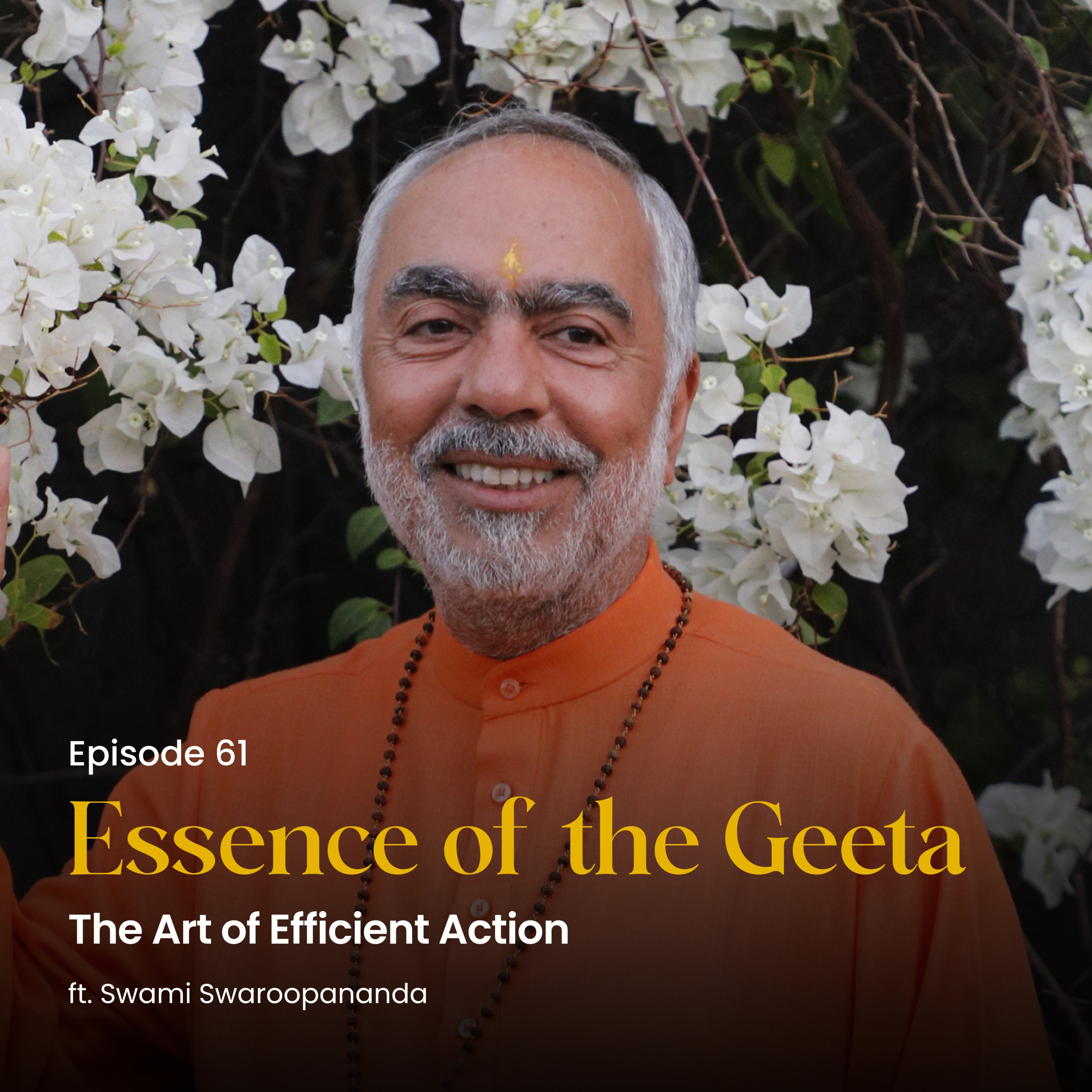 The Art of Efficient Action | Essence of the Geeta | Episode 61 episode artwork