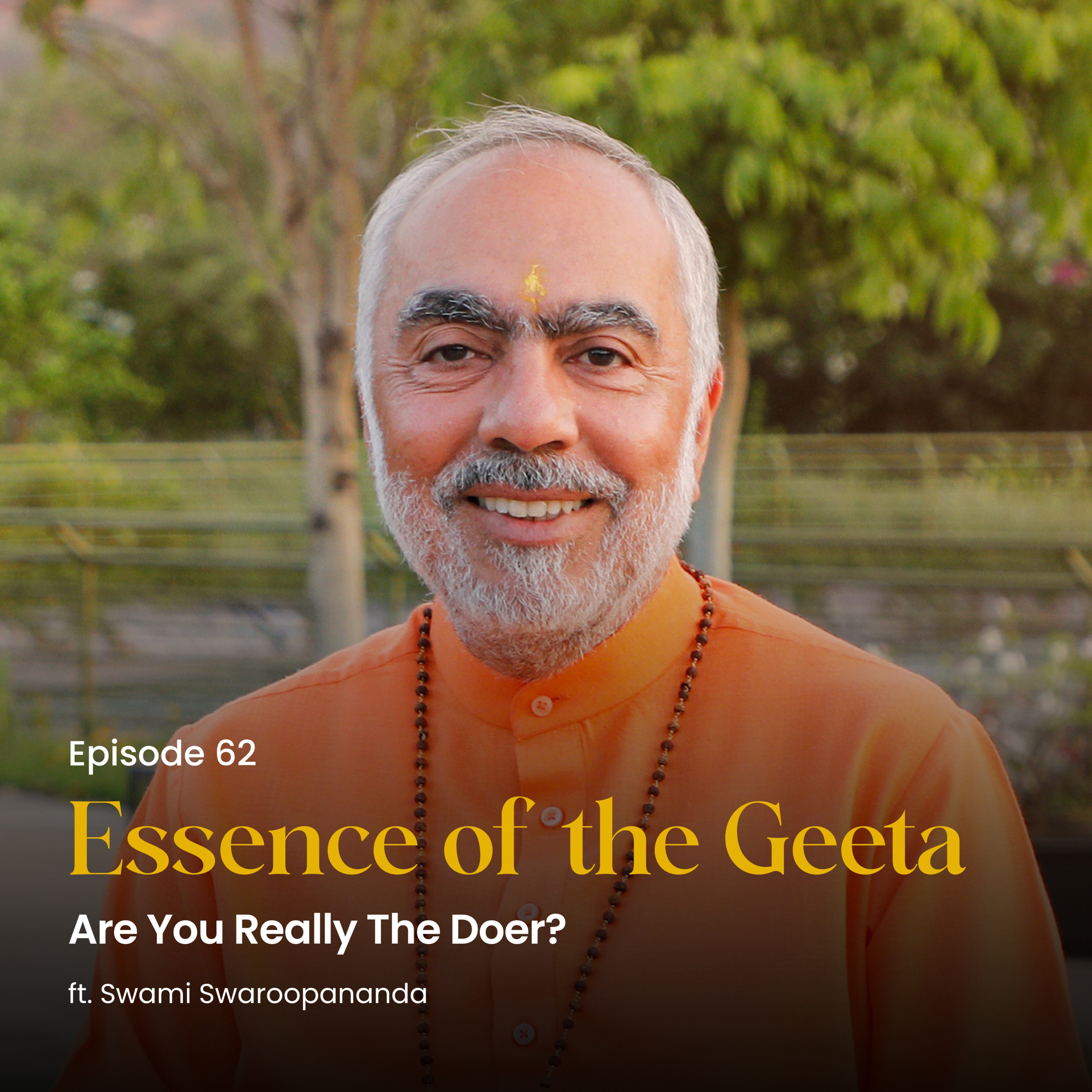 Are You Really The Doer? | Essence of the Geeta | Episode 62  episode artwork