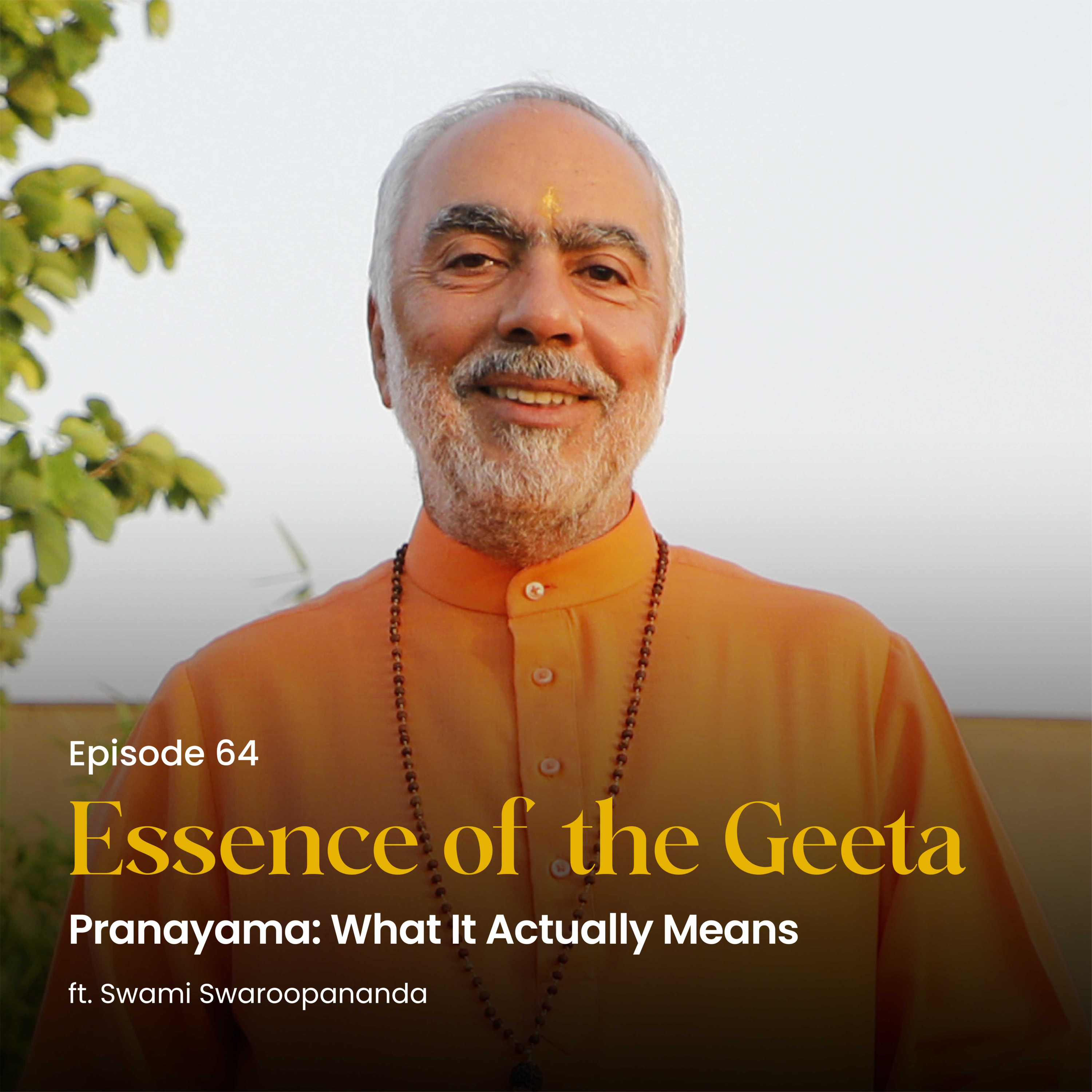Pranayama: What It Actually Means | Essence of the Geeta | Episode 64 episode artwork