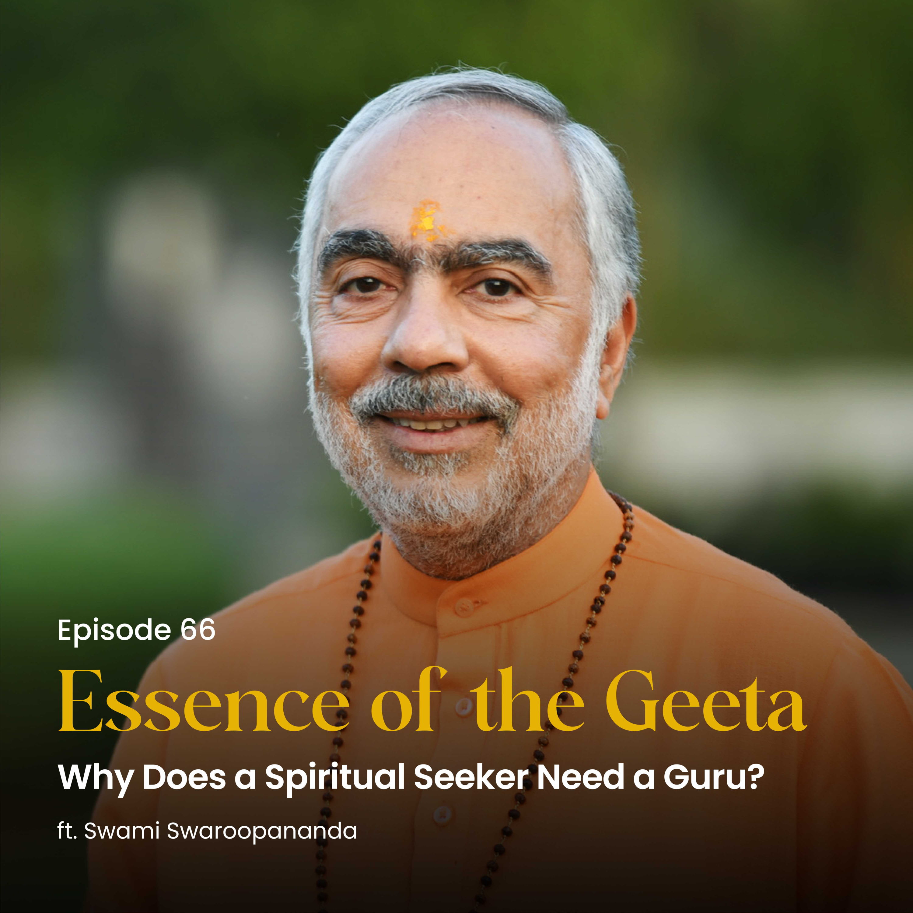 Why Does a Spiritual Seeker Need a Guru? | Essence of the Geeta | Episode 66 episode artwork