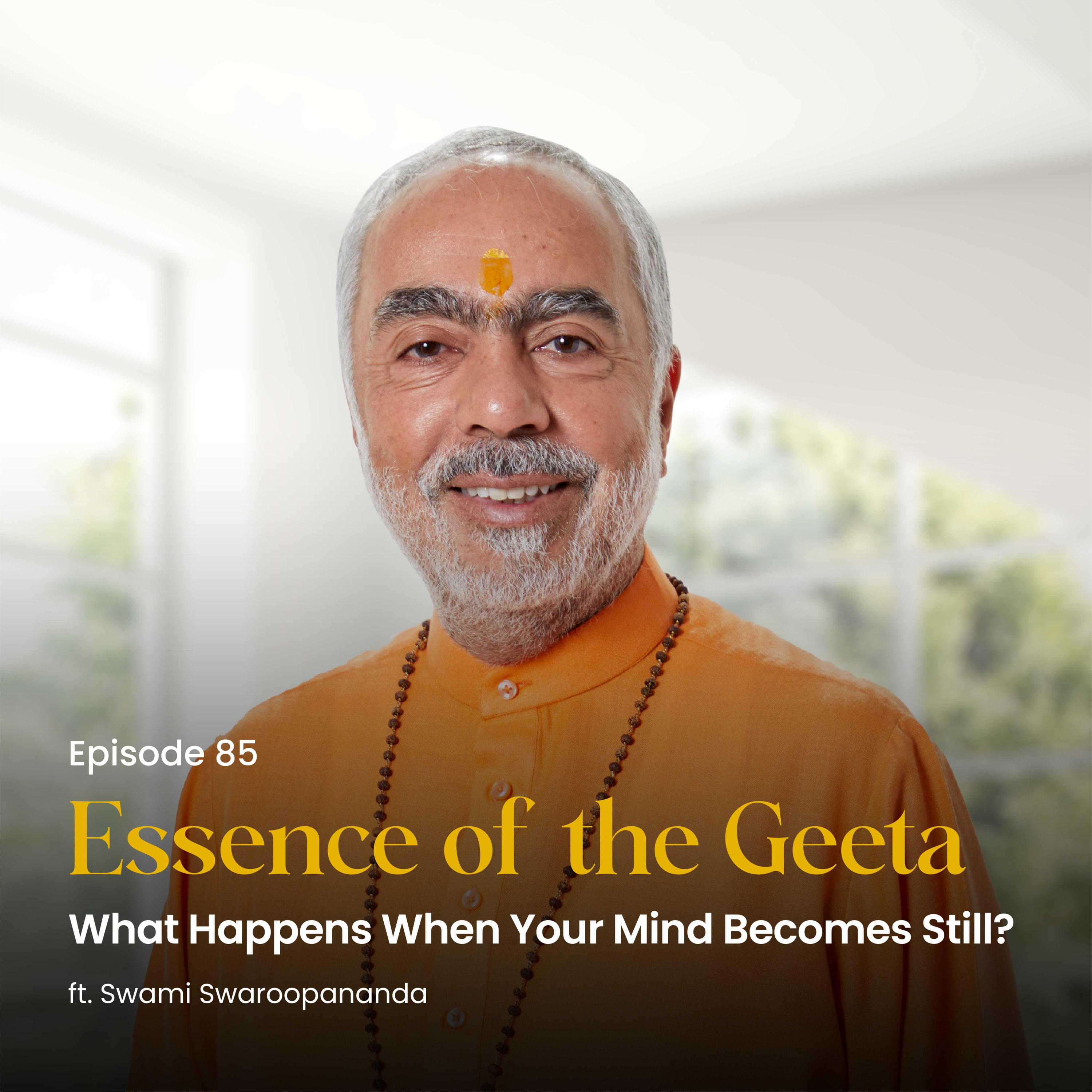 What Happens When Your Mind Becomes Still? | Essence of the Geeta | Episode 85 episode artwork