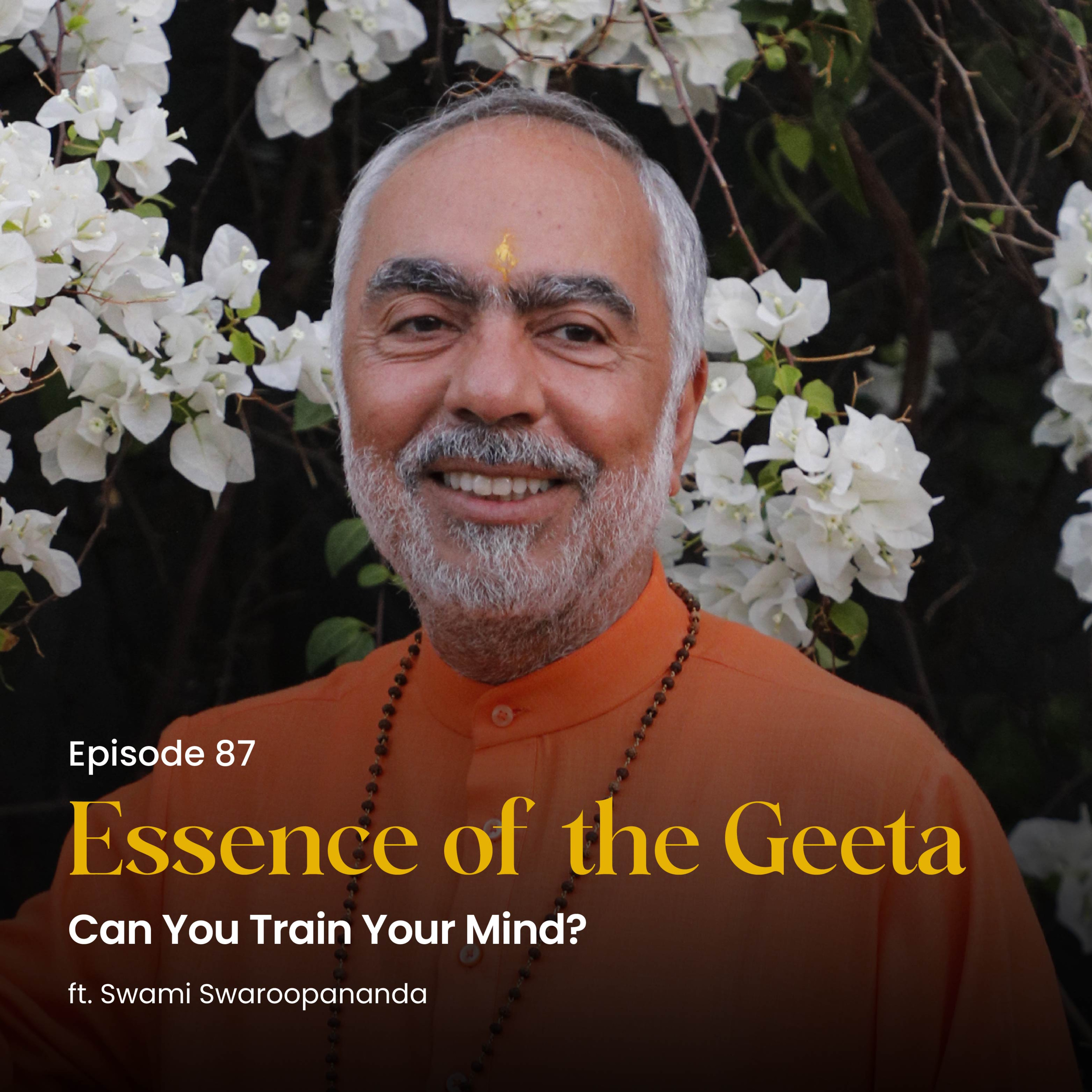 Can You Train Your Mind? | Essence of the Geeta | Episode 87