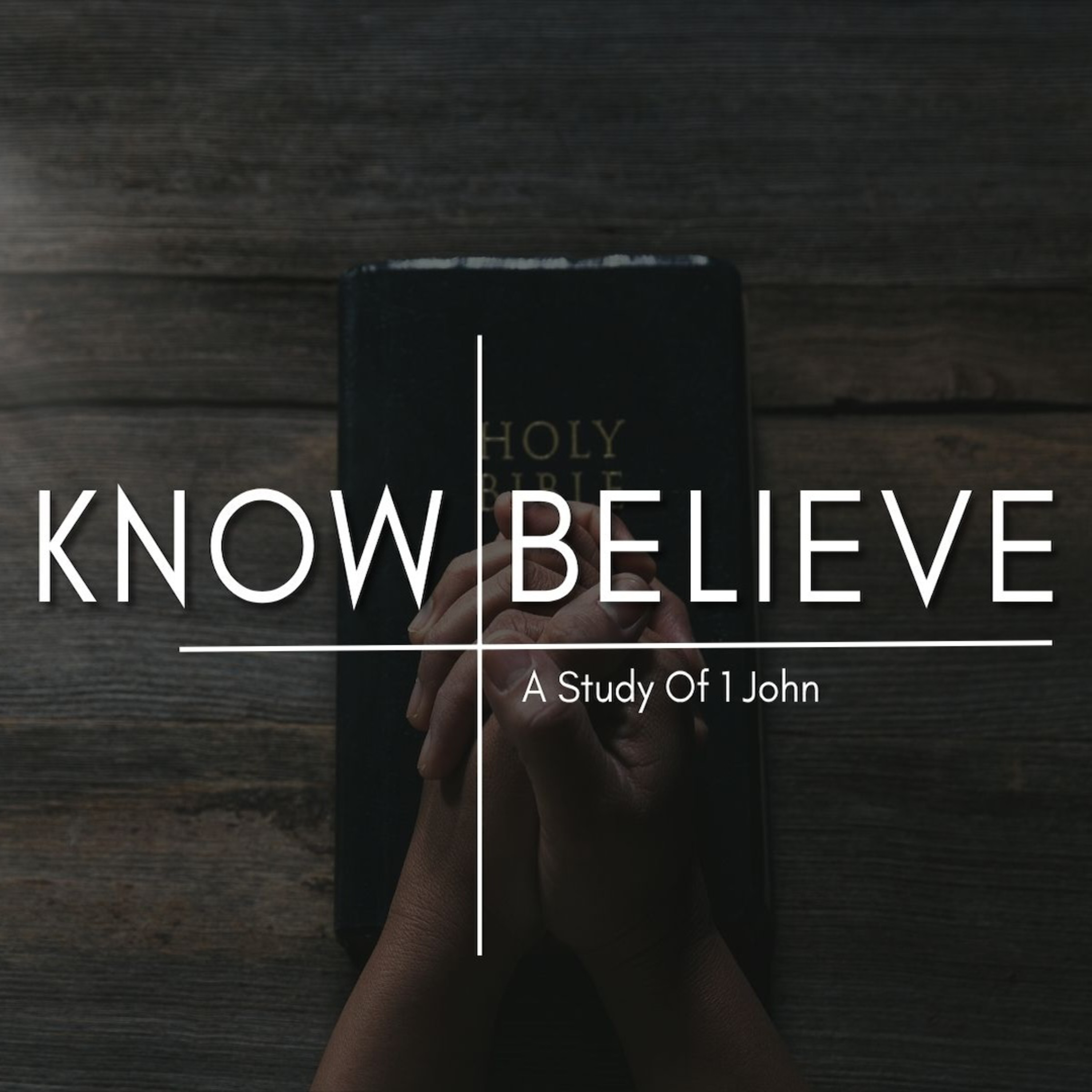Know/Believe: A Study of 1 John (1 John 3:16-24) episode artwork