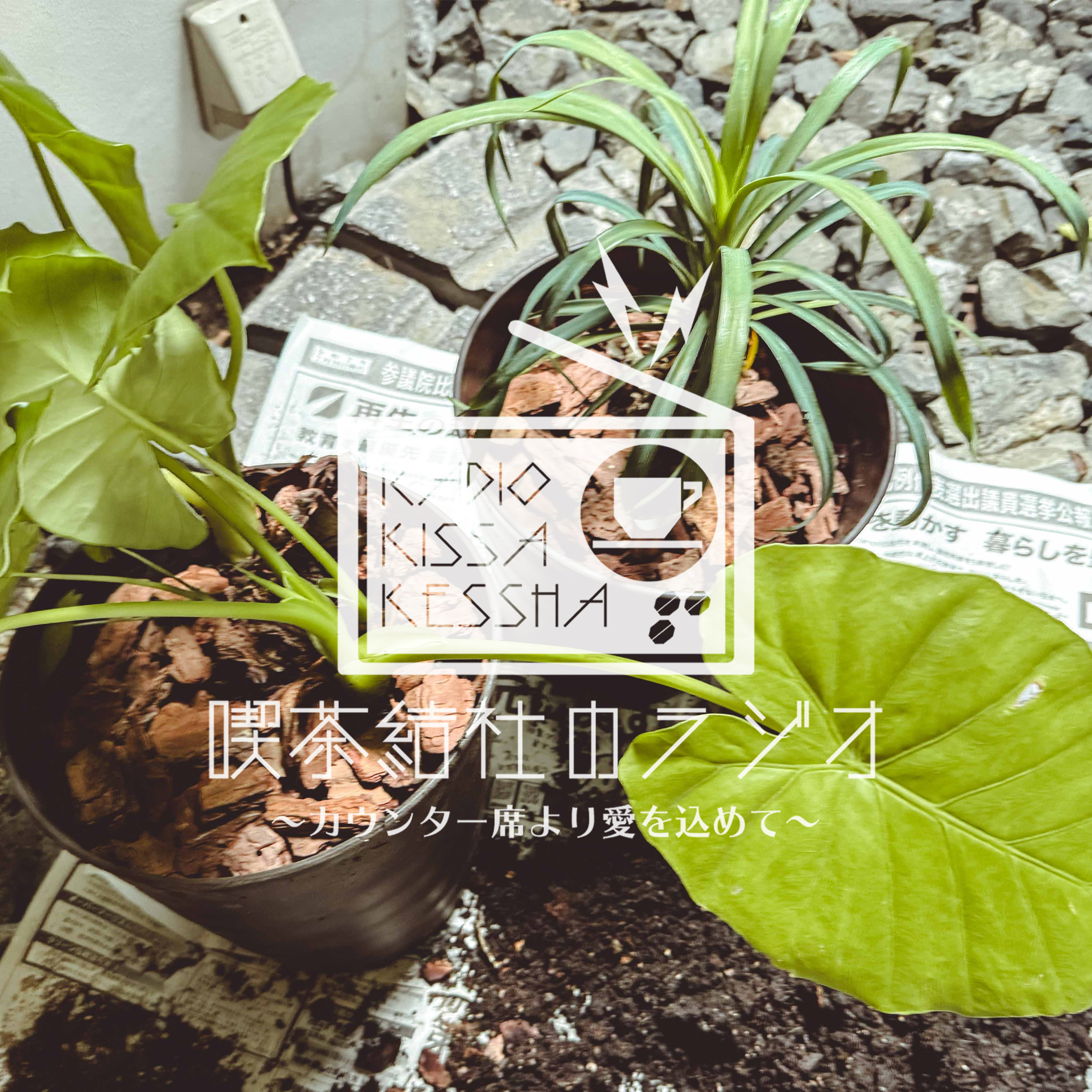 喫茶結社のラジオ#293 「植え替え」 episode artwork
